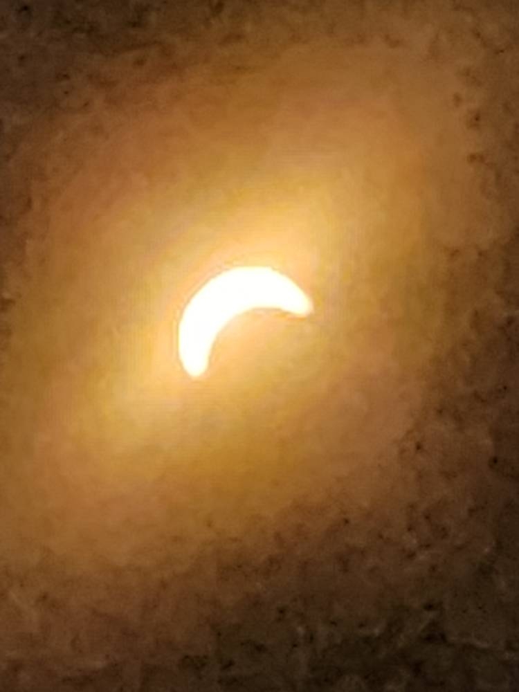 20240408_133710.jpg