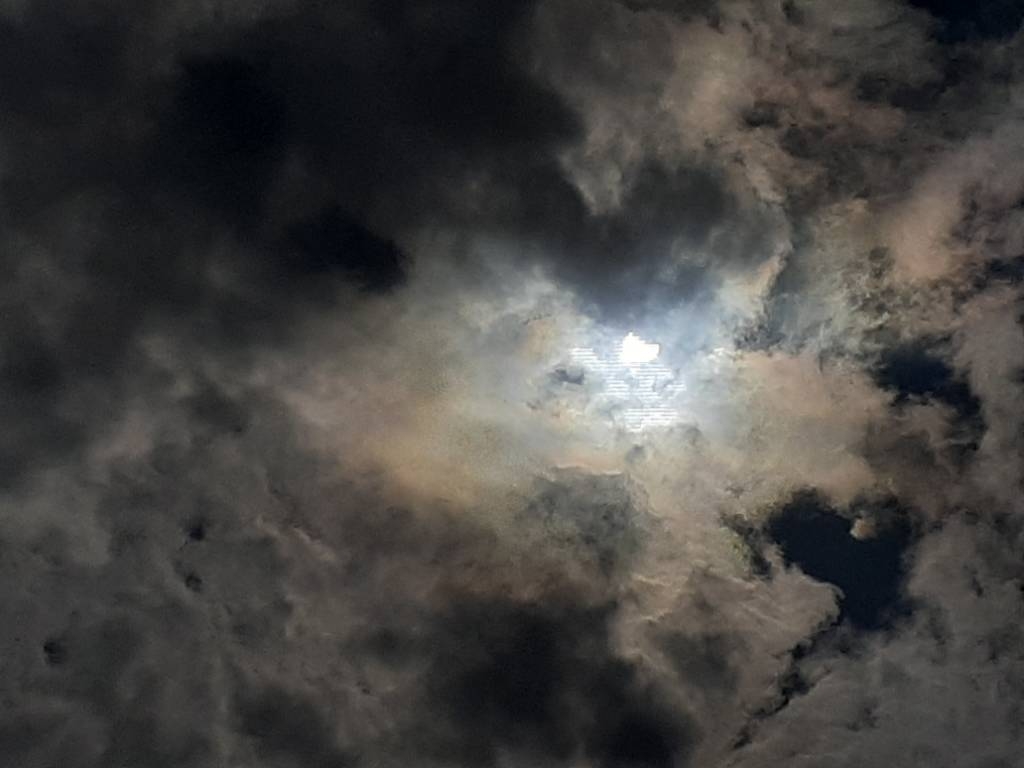 20240408_152954.jpg