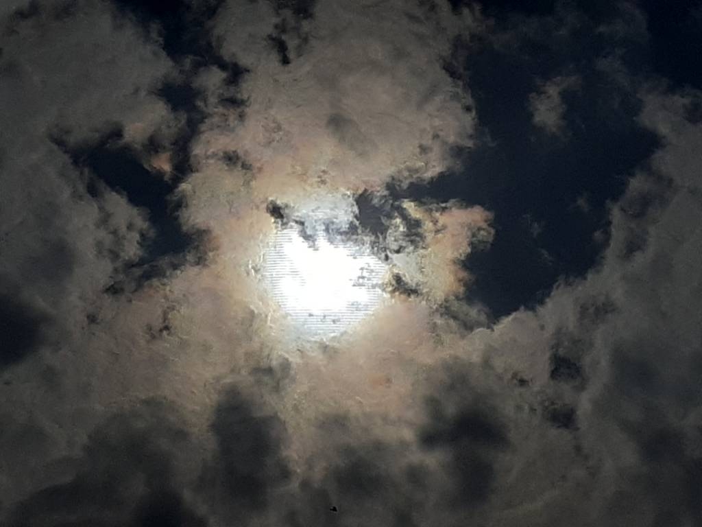 20240408_153047.jpg