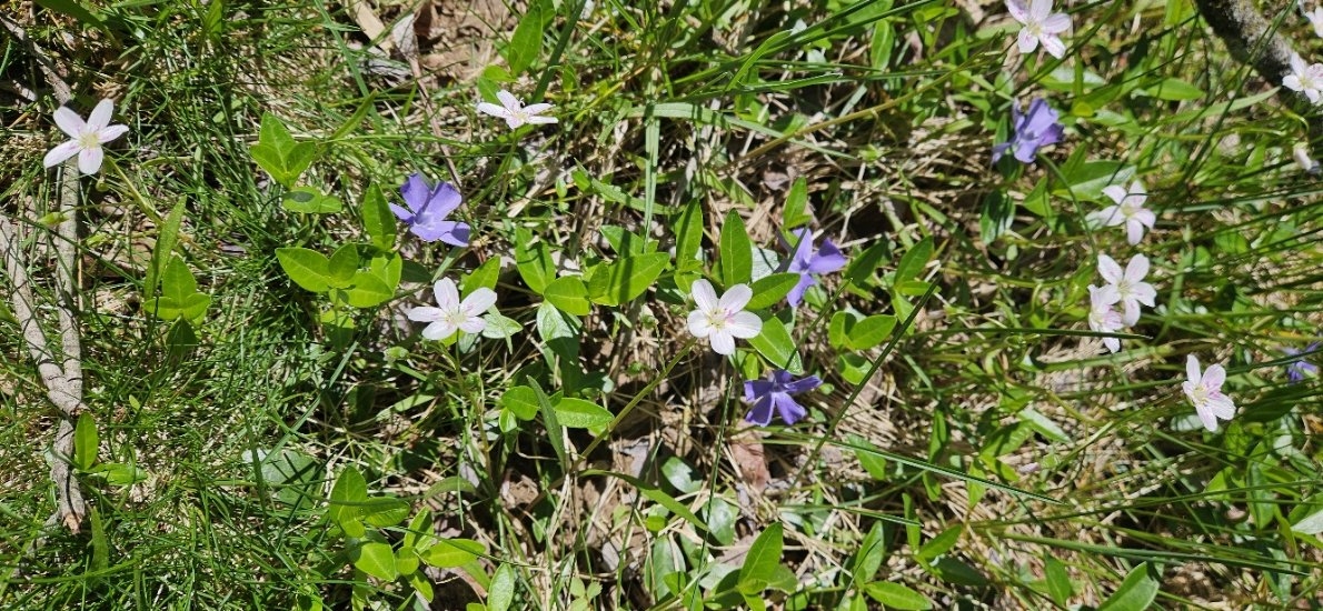 20240416_120028.jpg