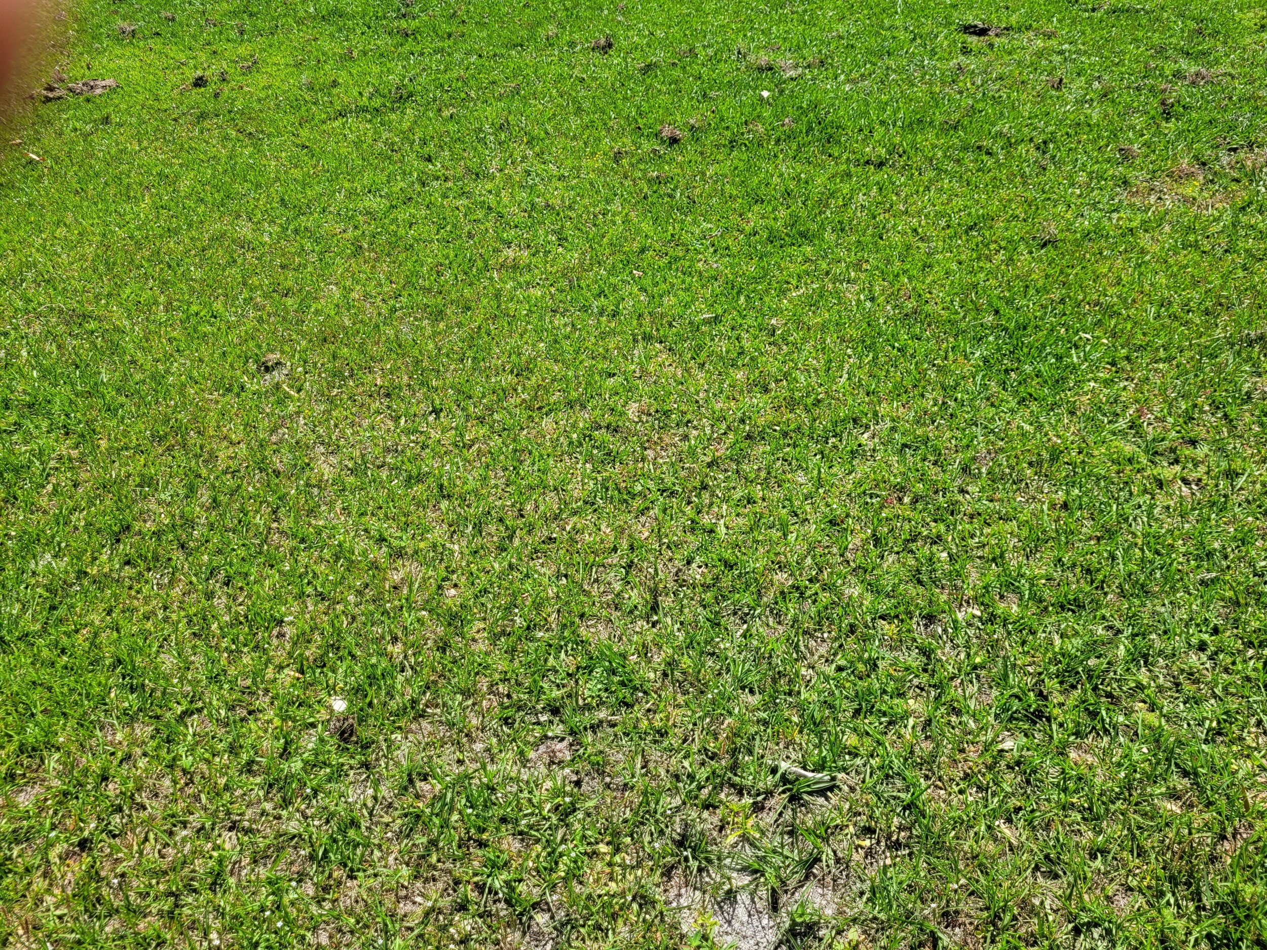 20240422_110853.jpg