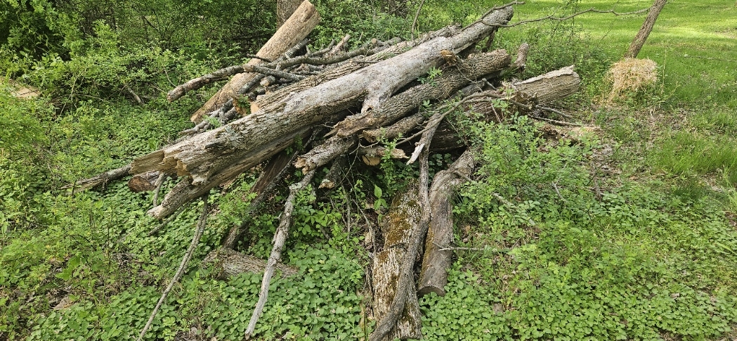 20240503_173400.jpg
