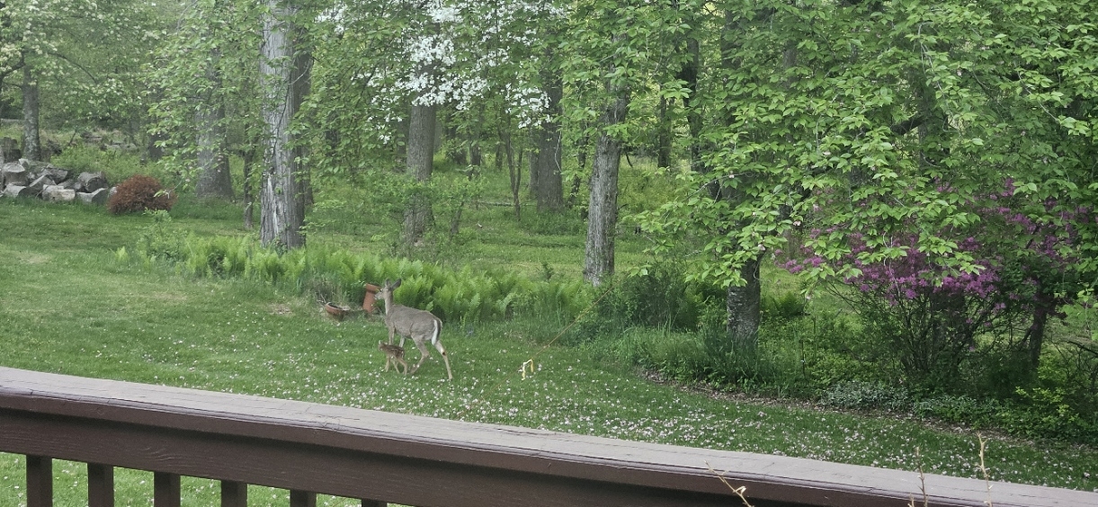 20240503_183600.jpg