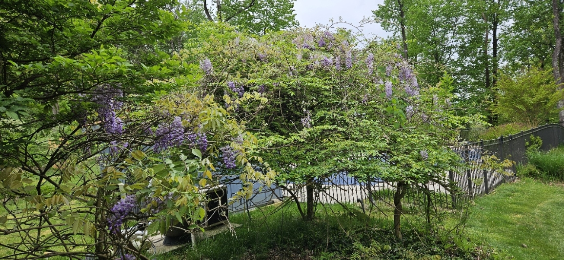 20240504_105405.jpg