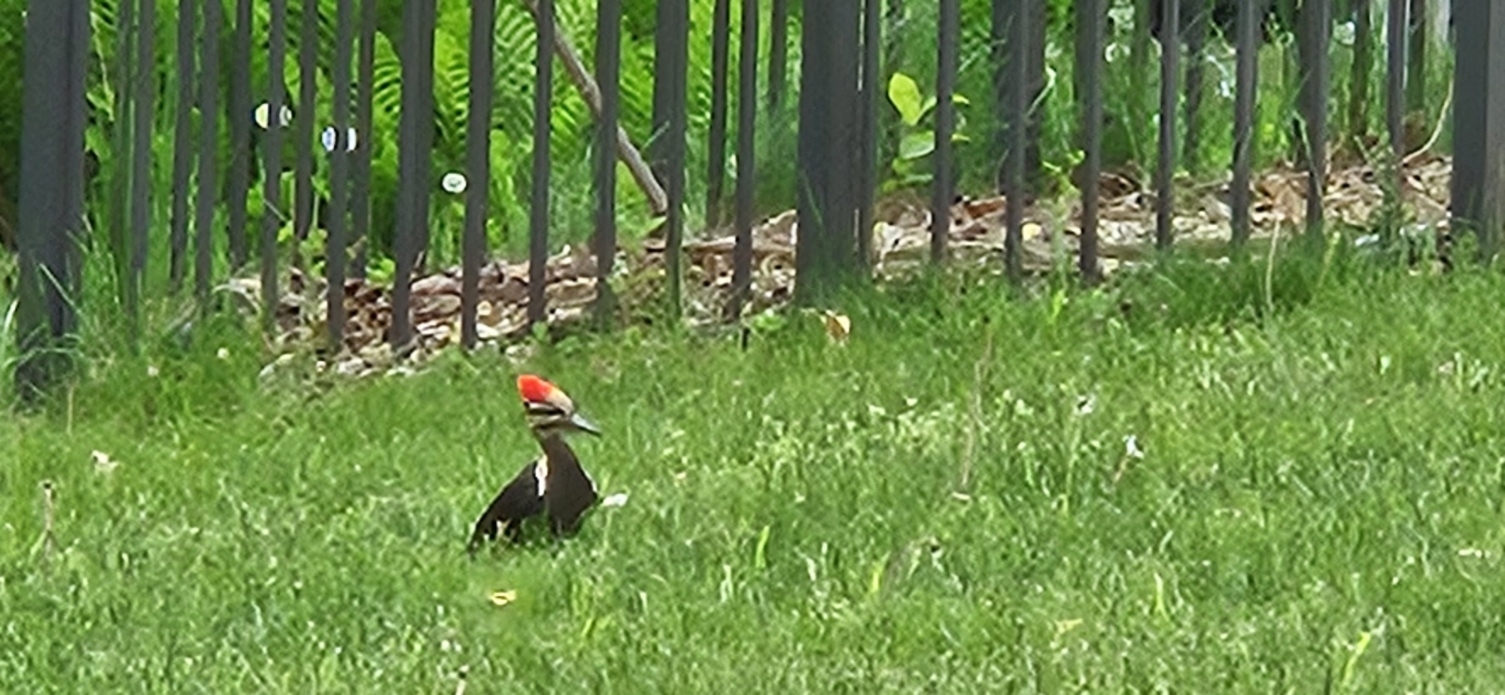 20240509_171457.jpg