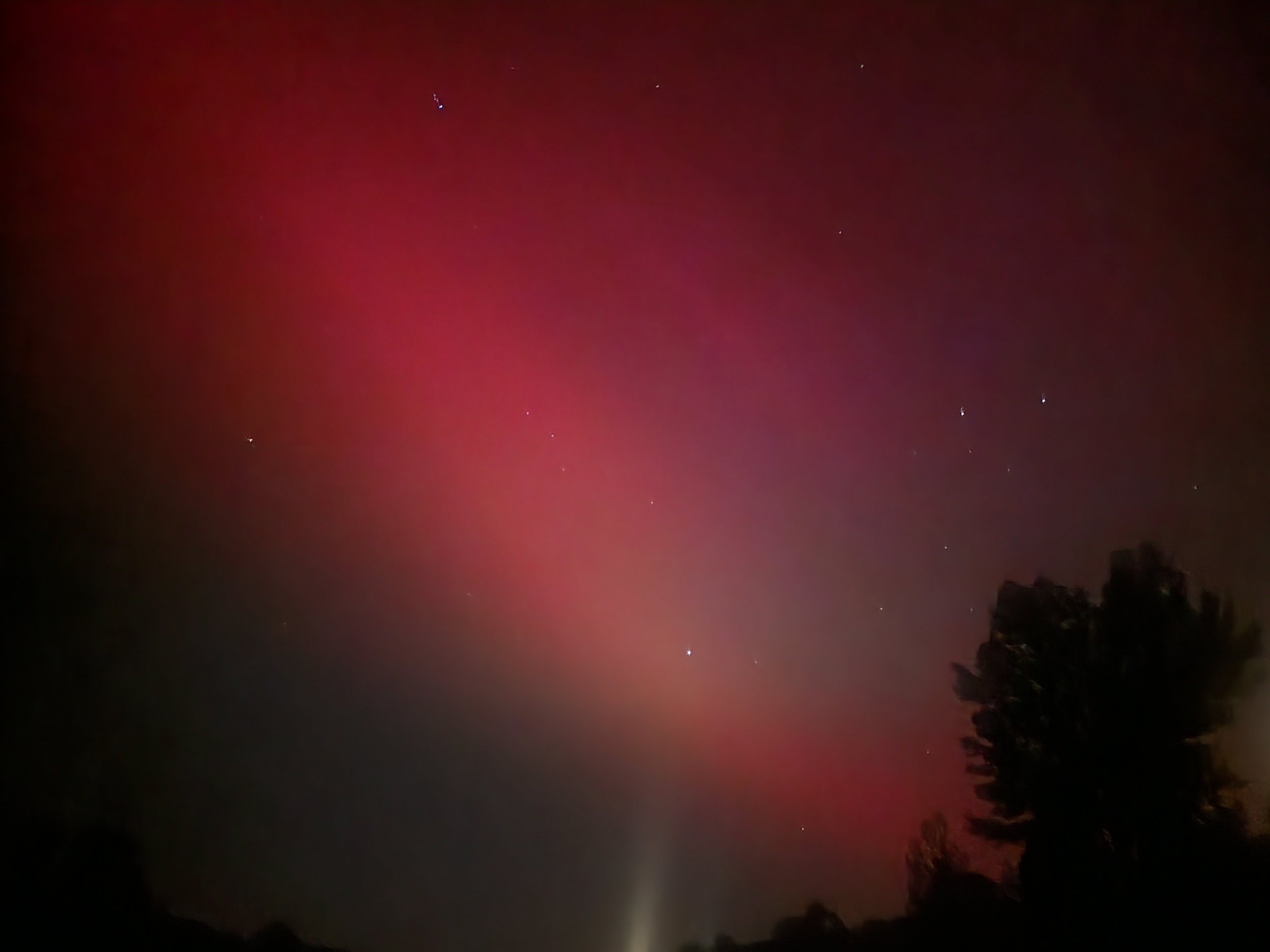 20240510_224105.jpg
