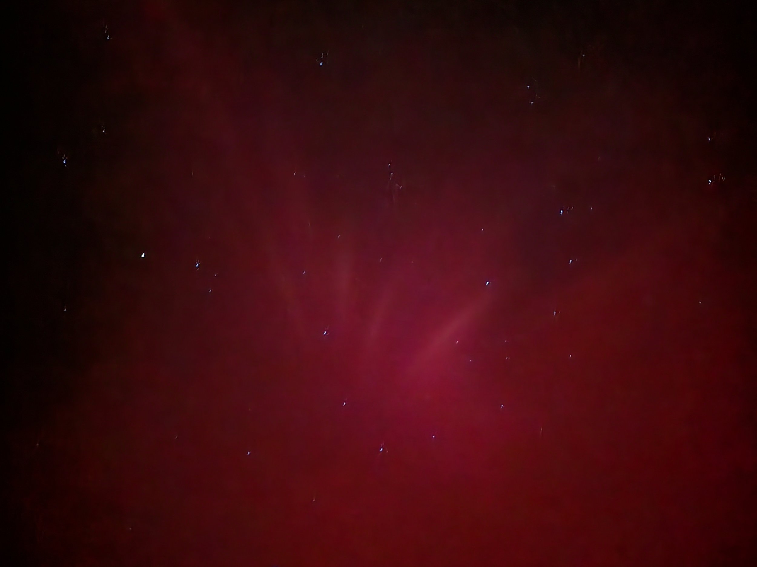 20240510_231005.jpg