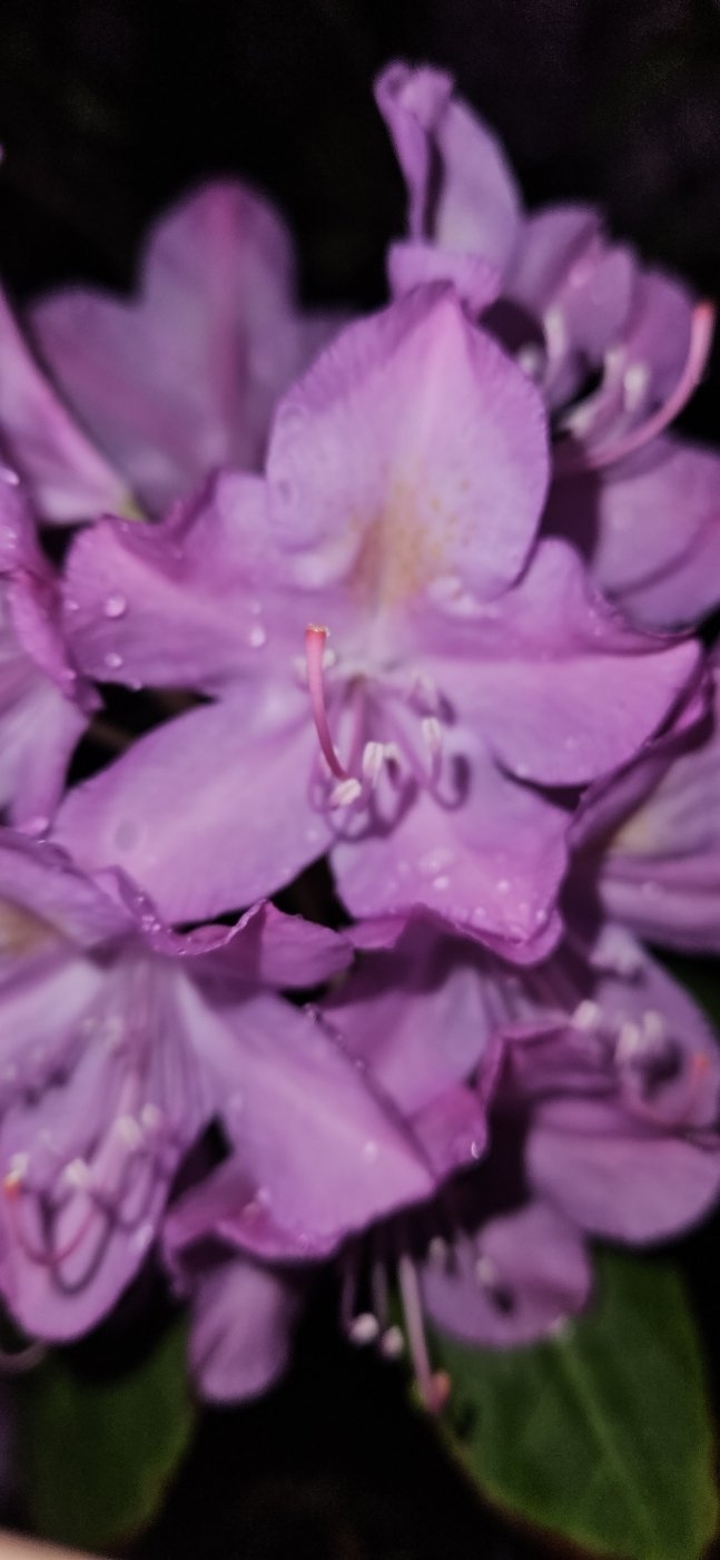 20240518_212844.jpg