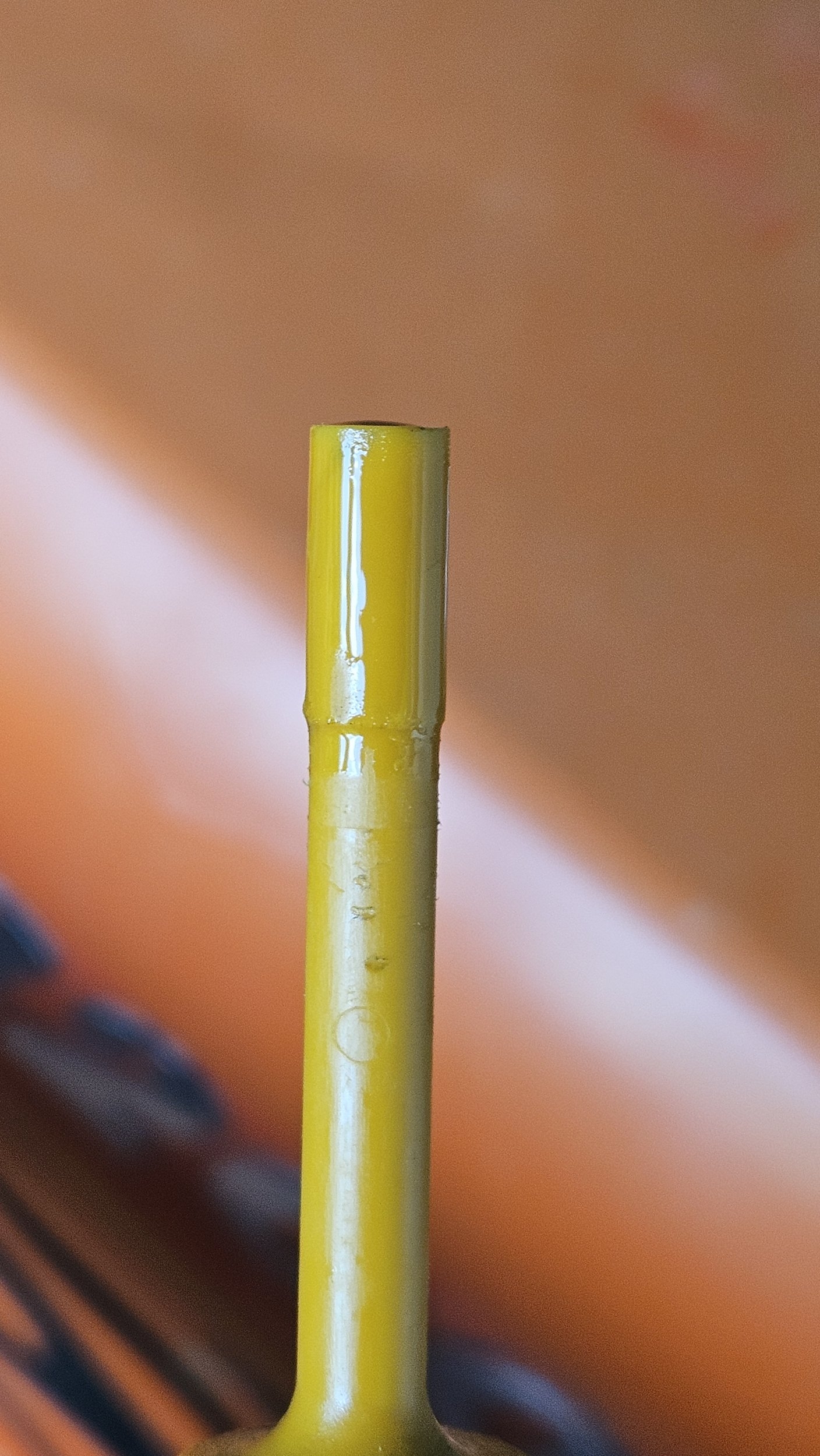 20240520_173125.jpg