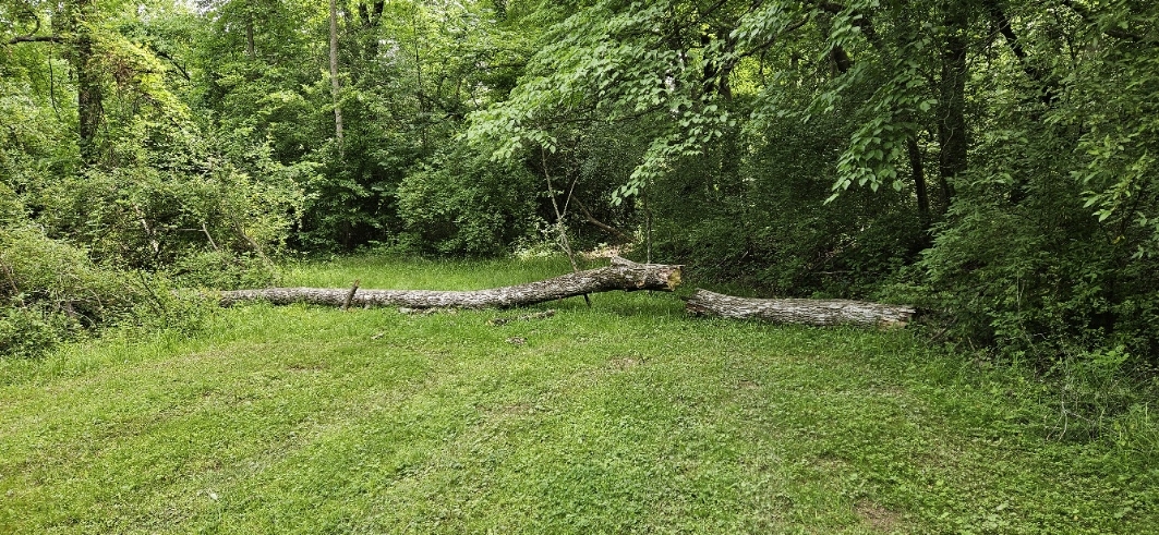 20240602_111949.jpg
