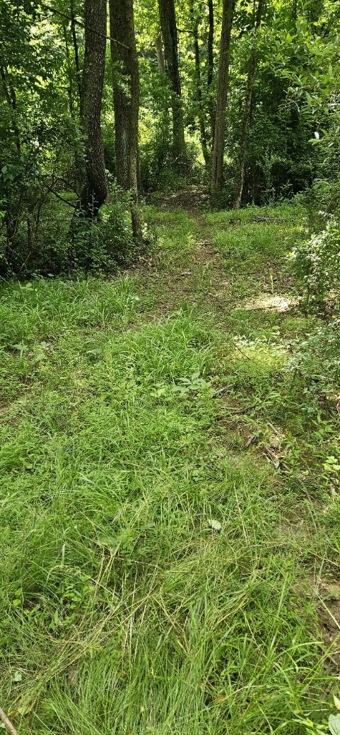 20240608_114024.jpg