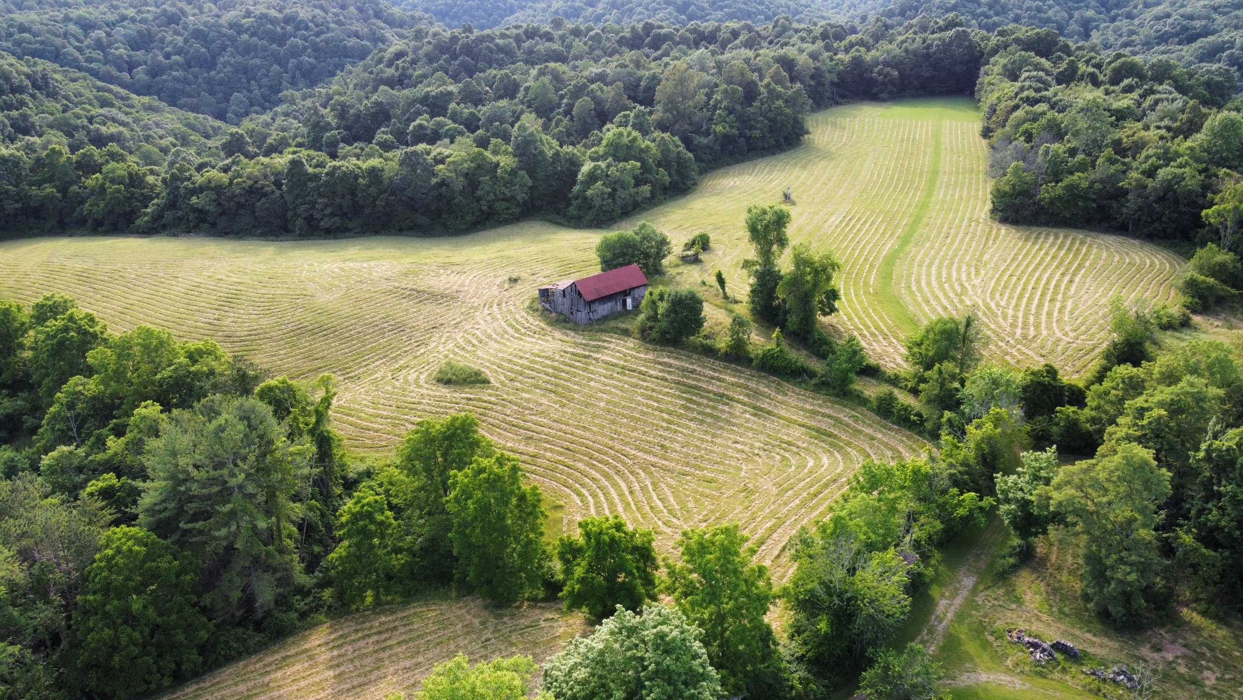 20240615_182810__OH_Farm_mowing_drone.JPG