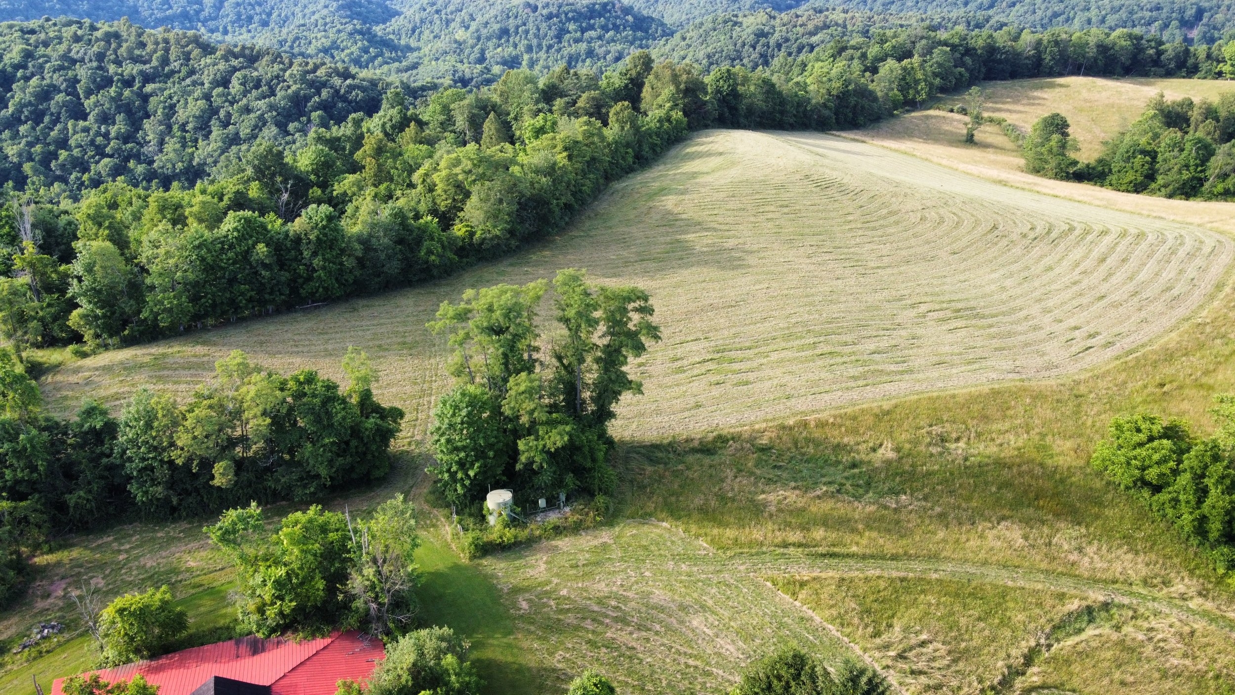 20240615_182845__OH_Farm_mowing_drone.JPG