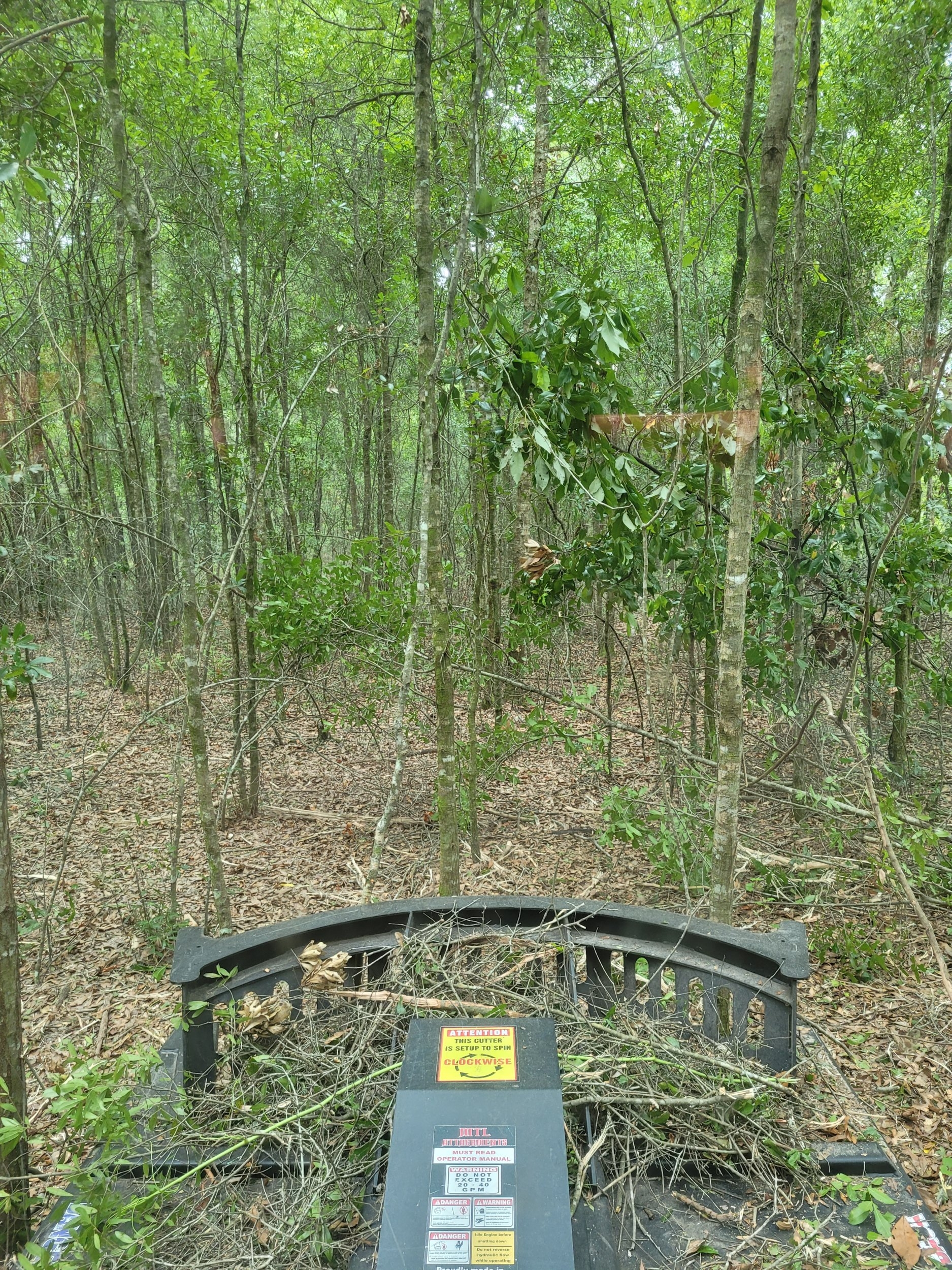 20240619_124503.jpg