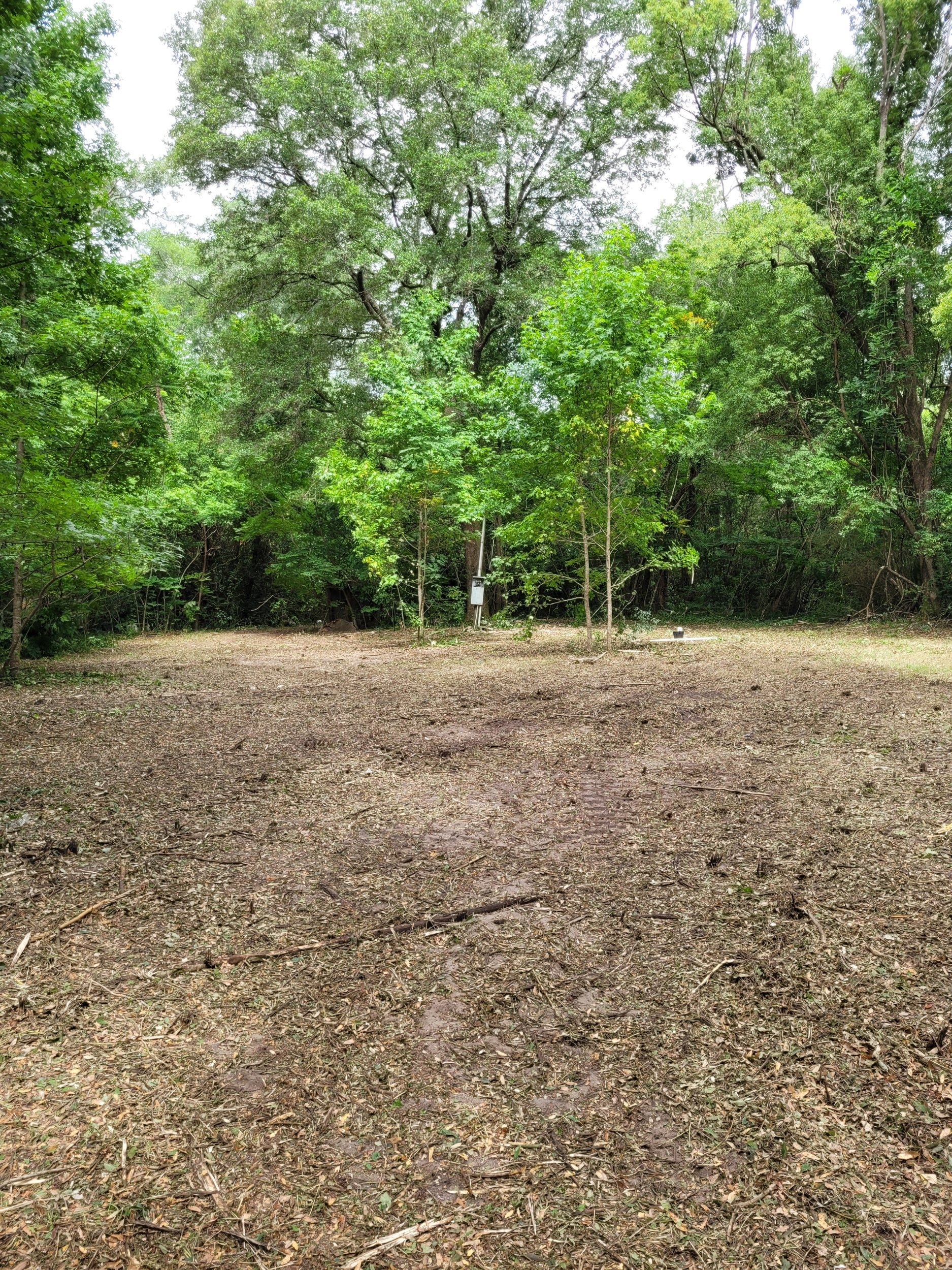 20240621_104831.jpg