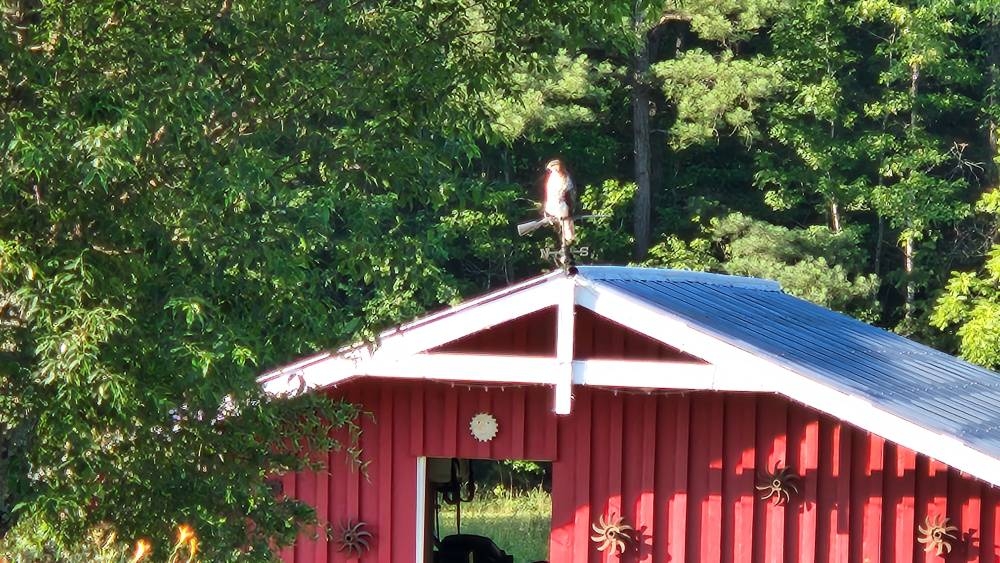 20240625_075138.jpg