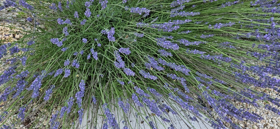 20240625_175826.jpg