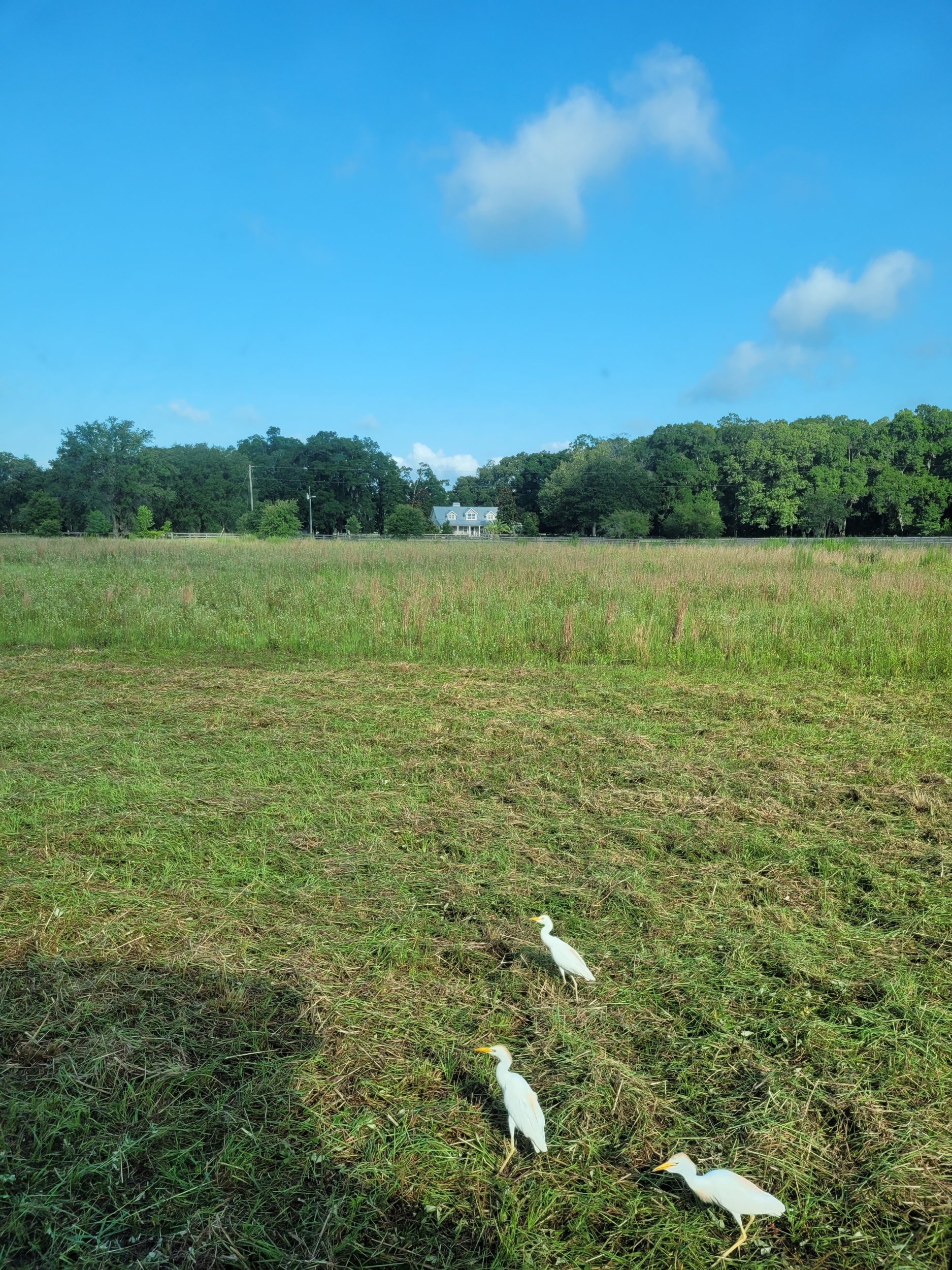 20240626_090420.jpg