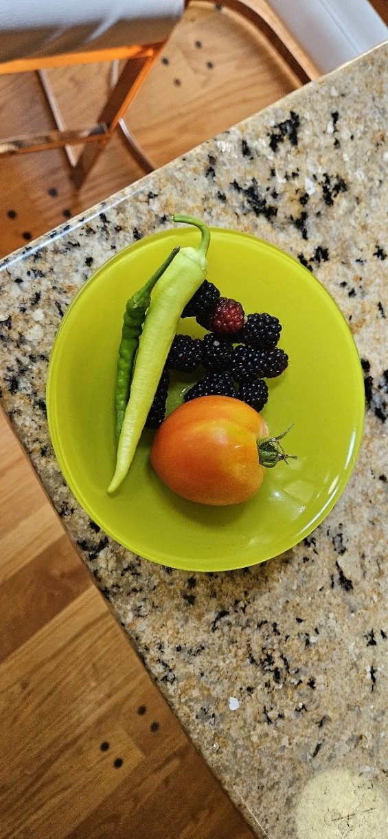 20240703_174721.jpg