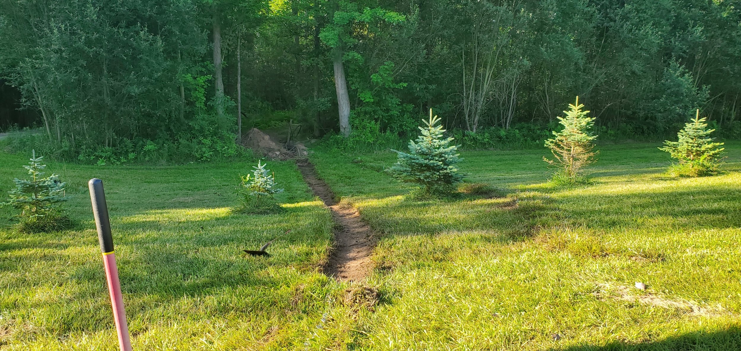 20240706_080514.jpg