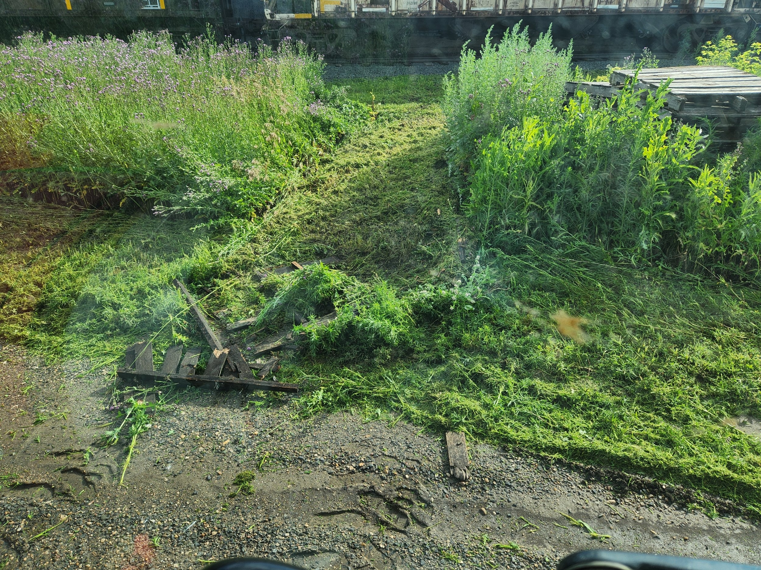 20240706_090906.jpg