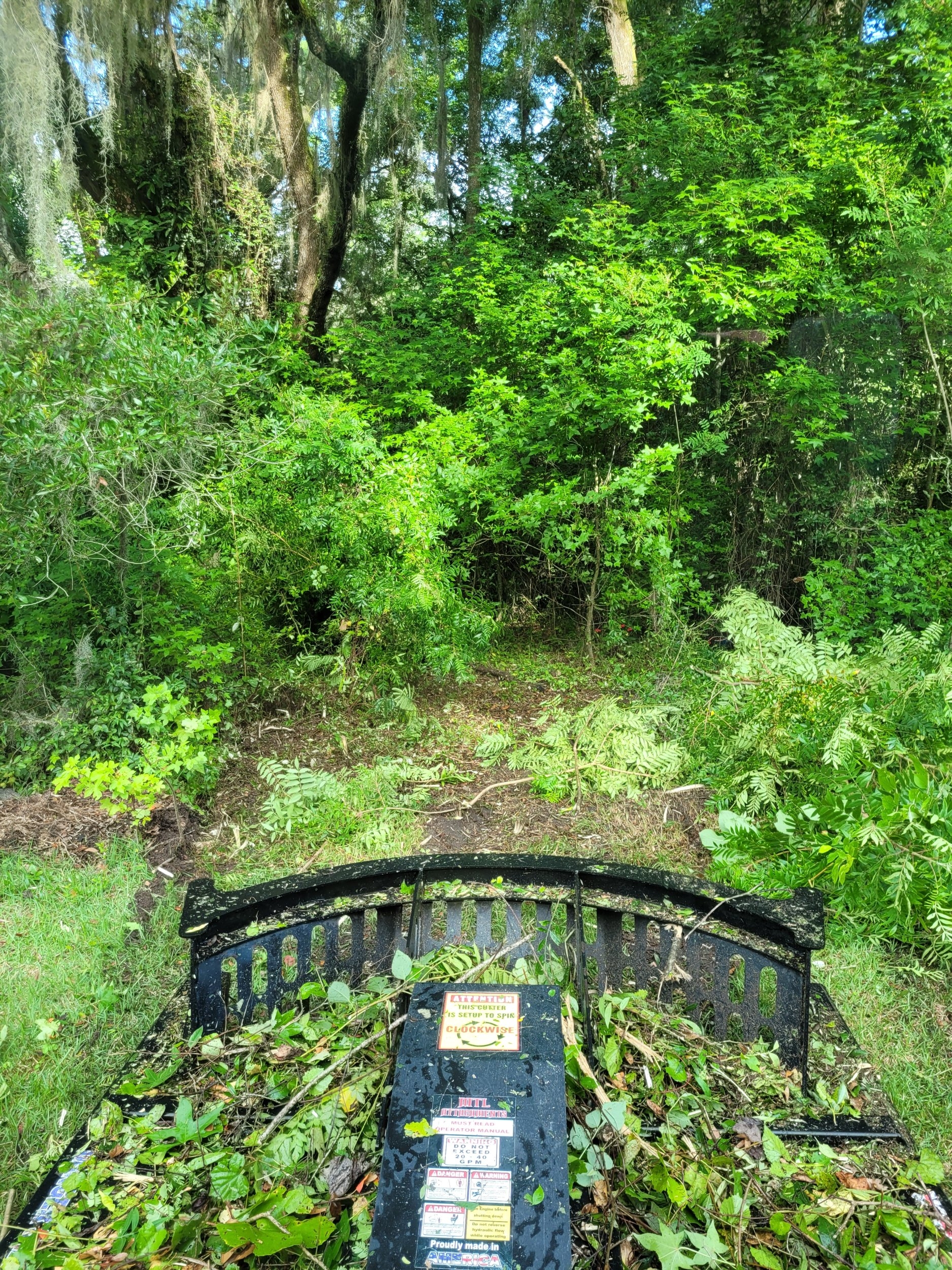 20240711_084854.jpg