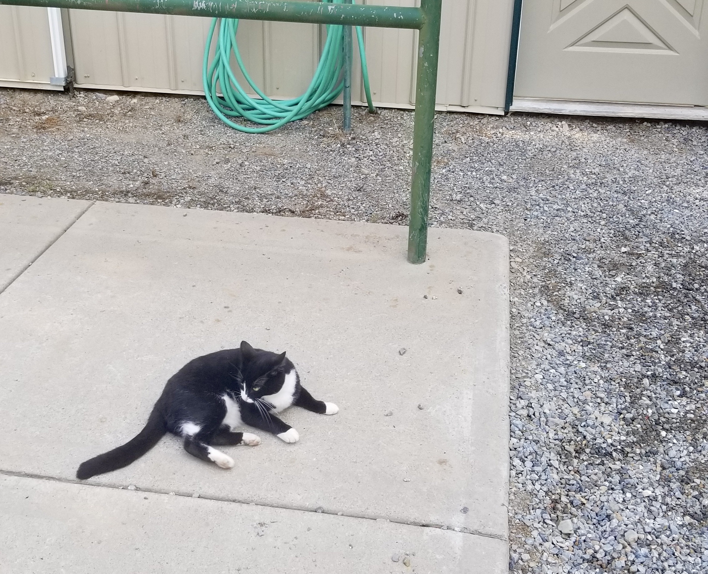 20240807_091537.jpeg