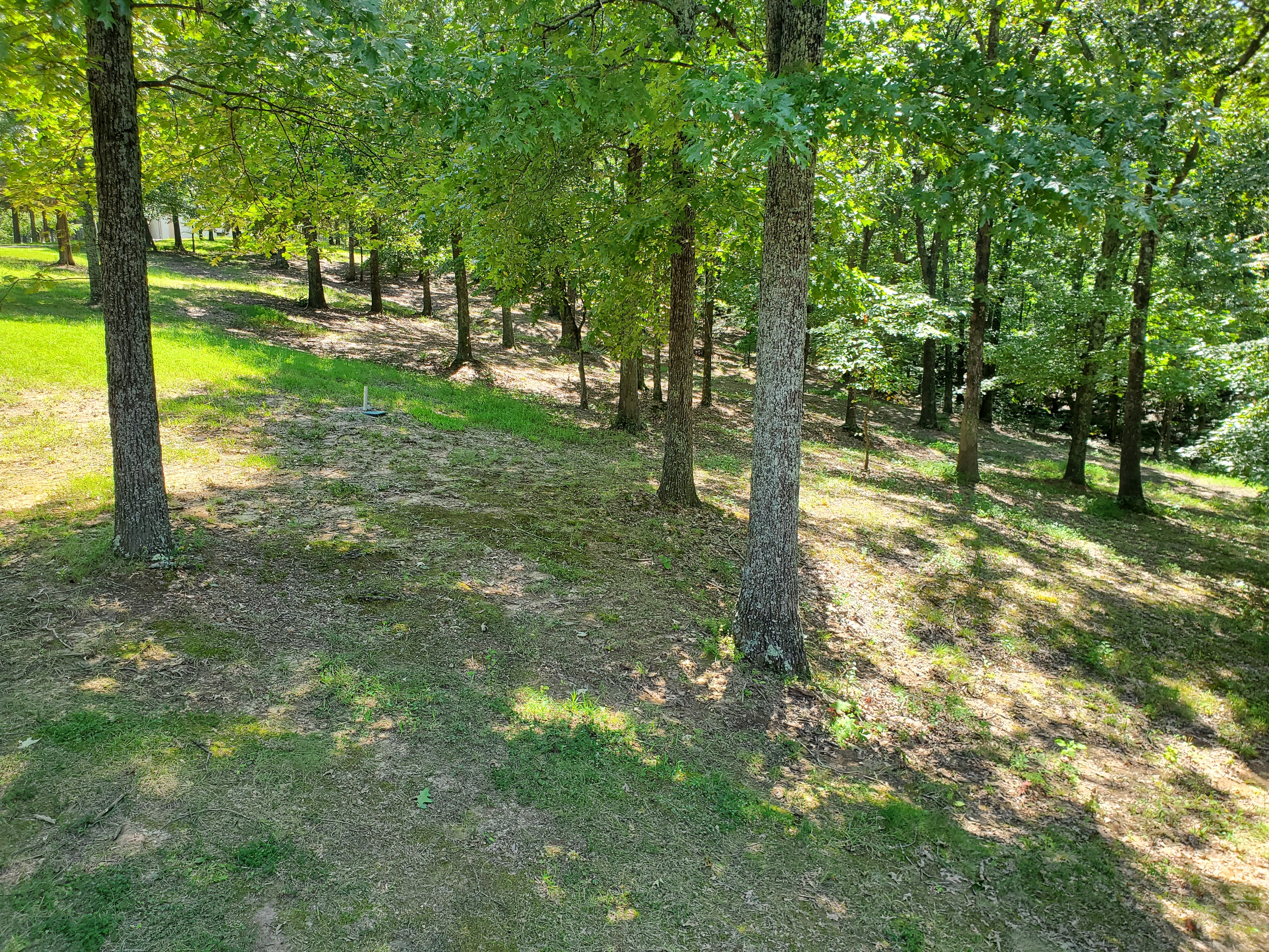20240817_140658[1].jpg