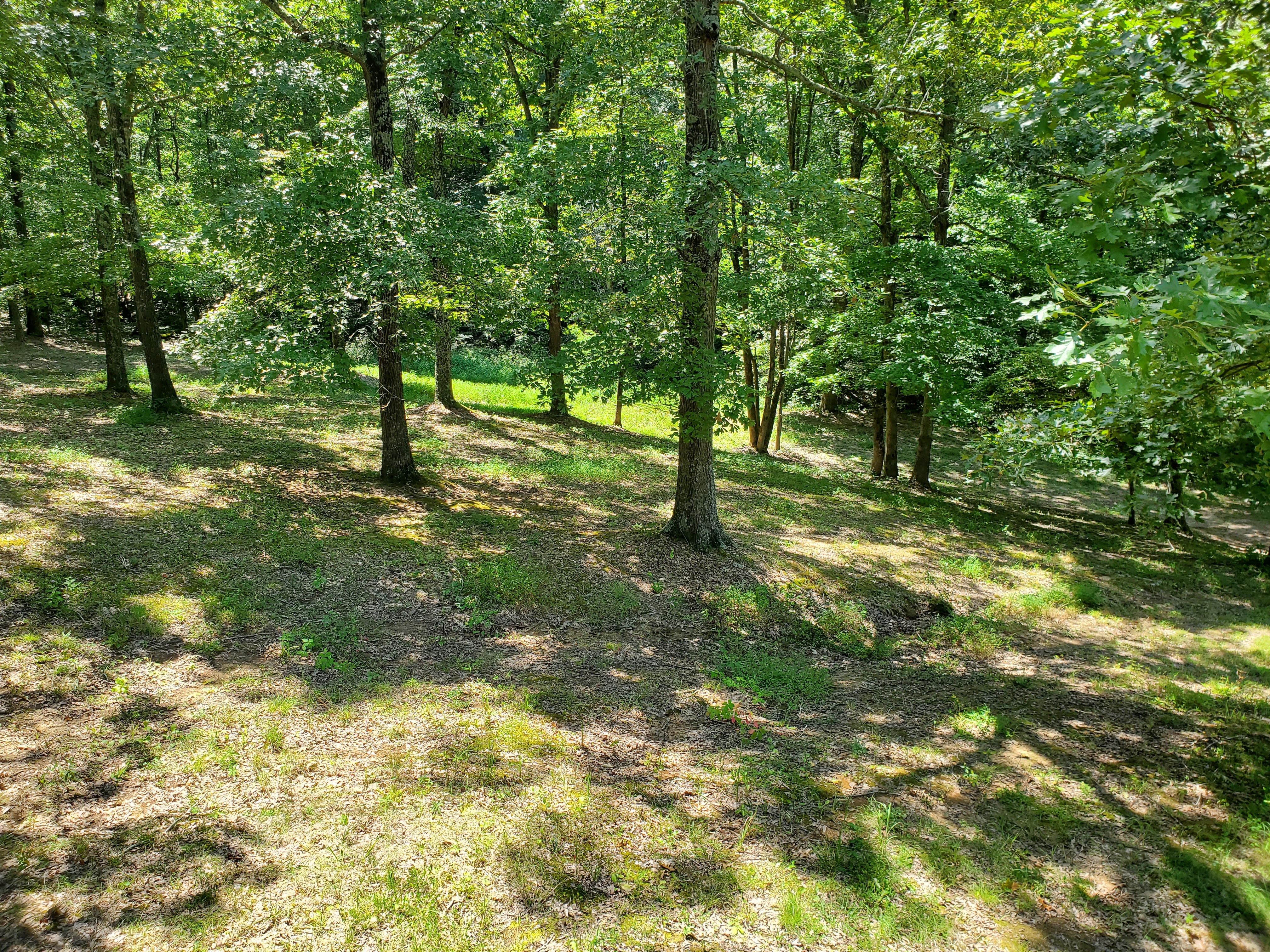 20240817_140704[1].jpg