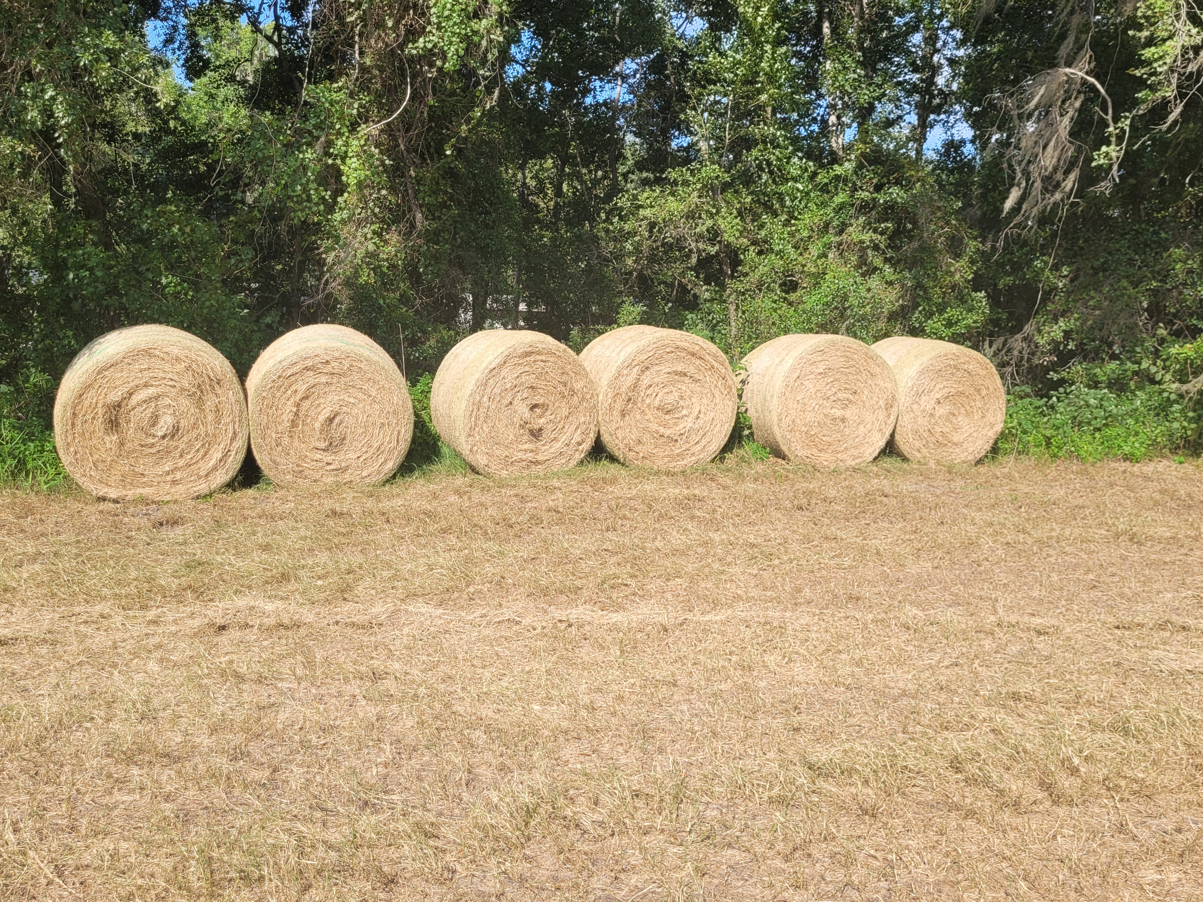 20240819_165119.jpg