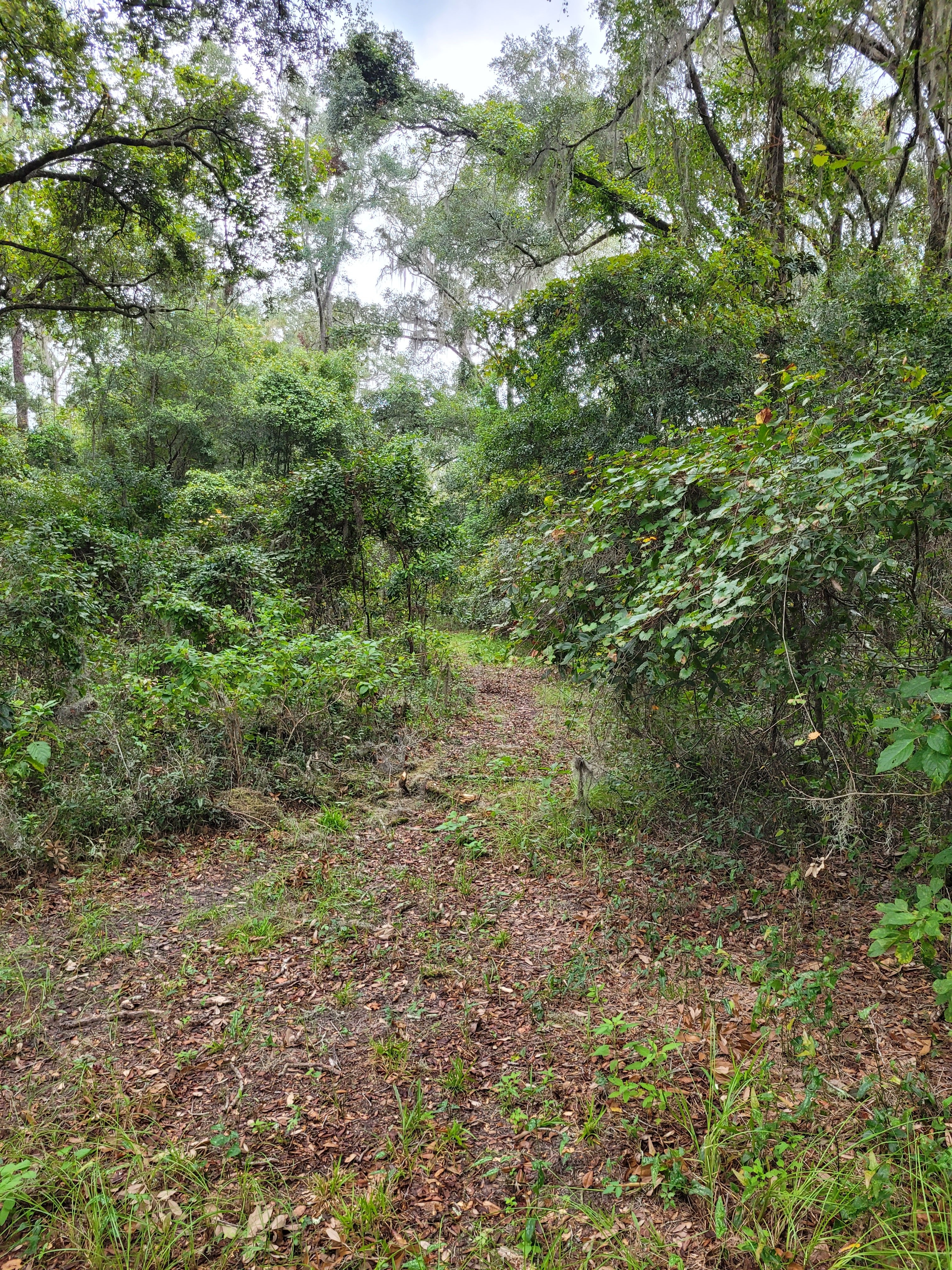 20240823_083533.jpg