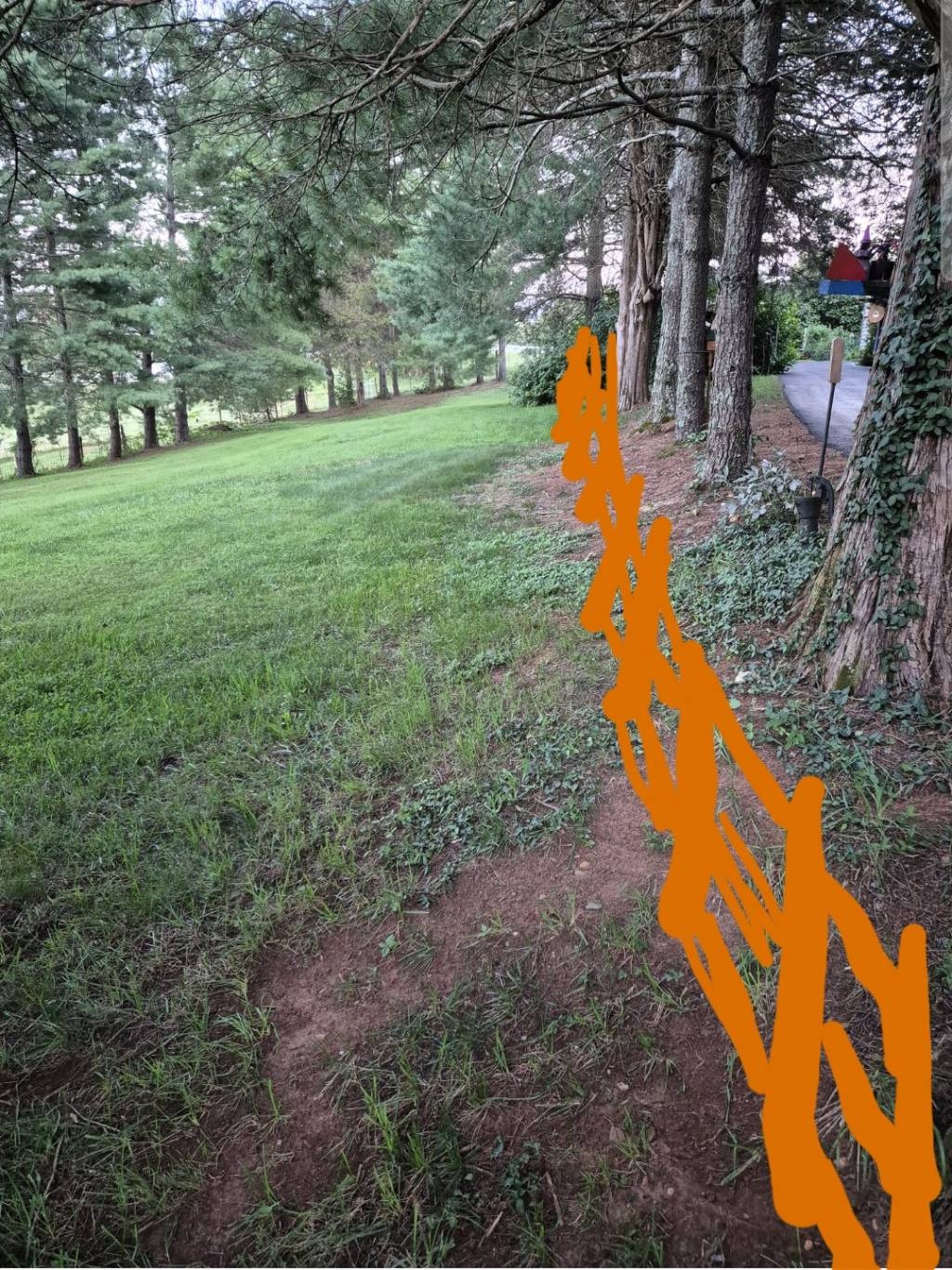 20240823_200239872.jpg