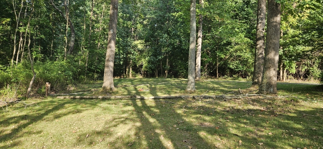 20240828_172753.jpg