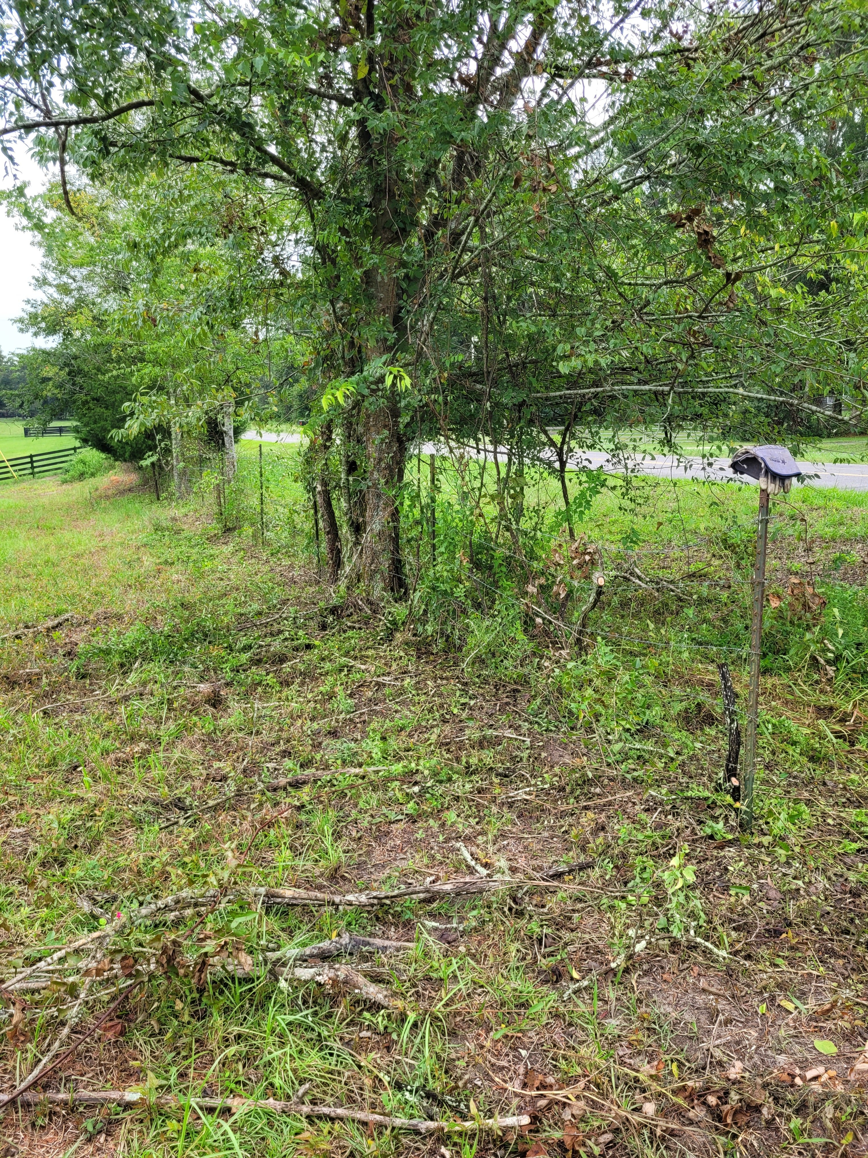 20240909_112117.jpg