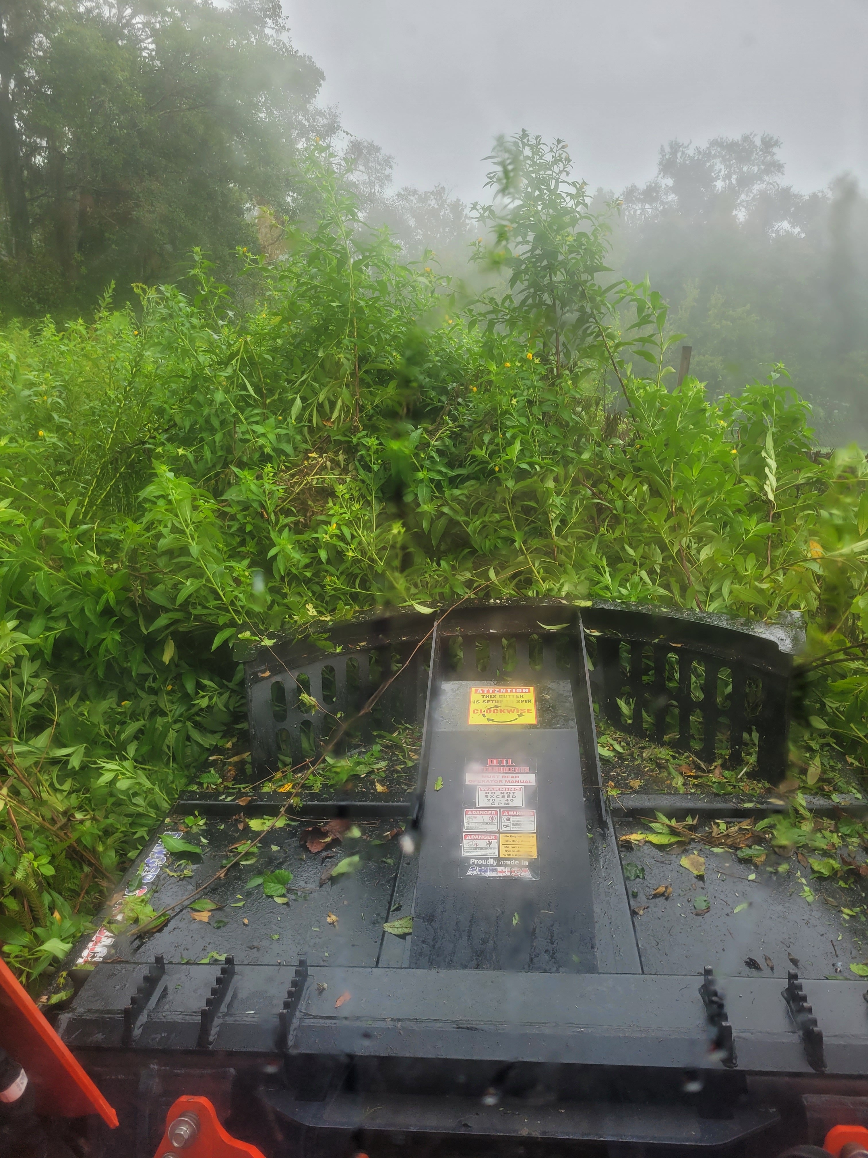 20240913_081109.jpg