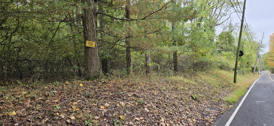 20240929_122607.jpg