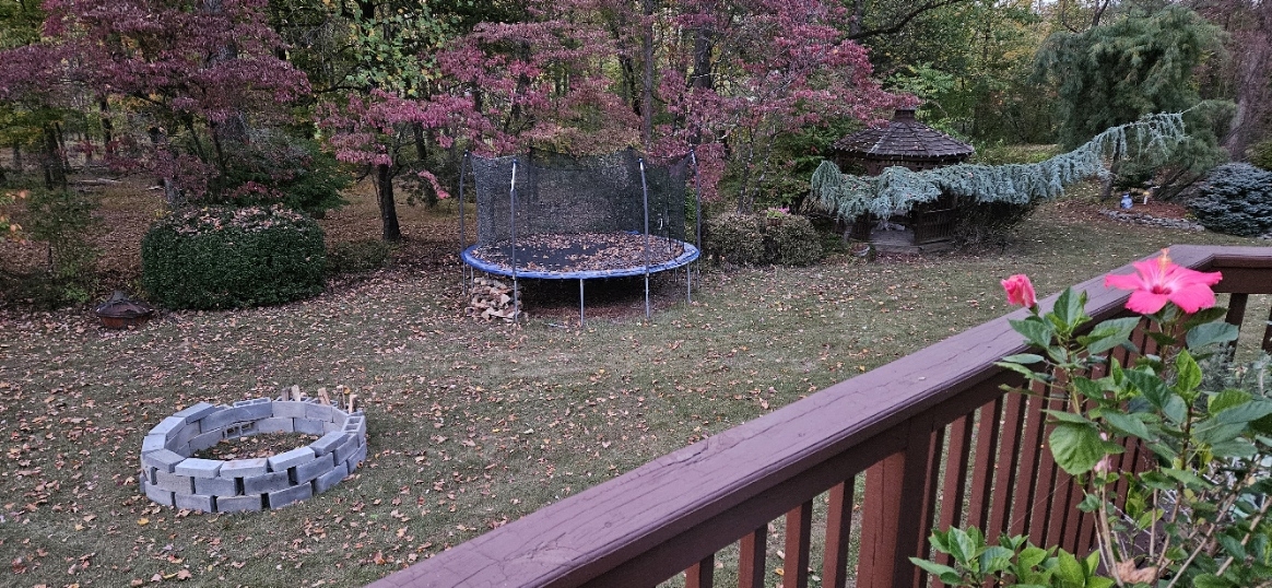 20241008_184005.jpg
