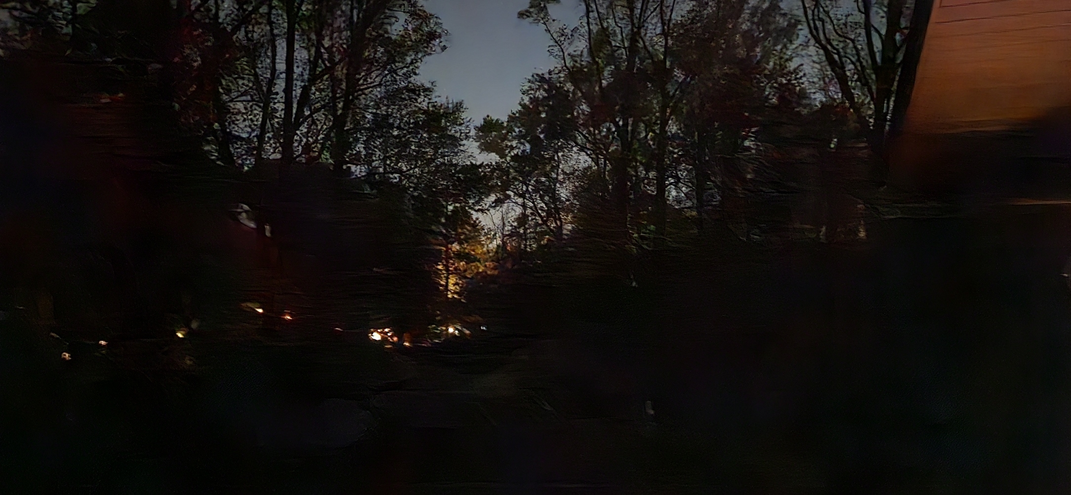 20241009_214835.jpg