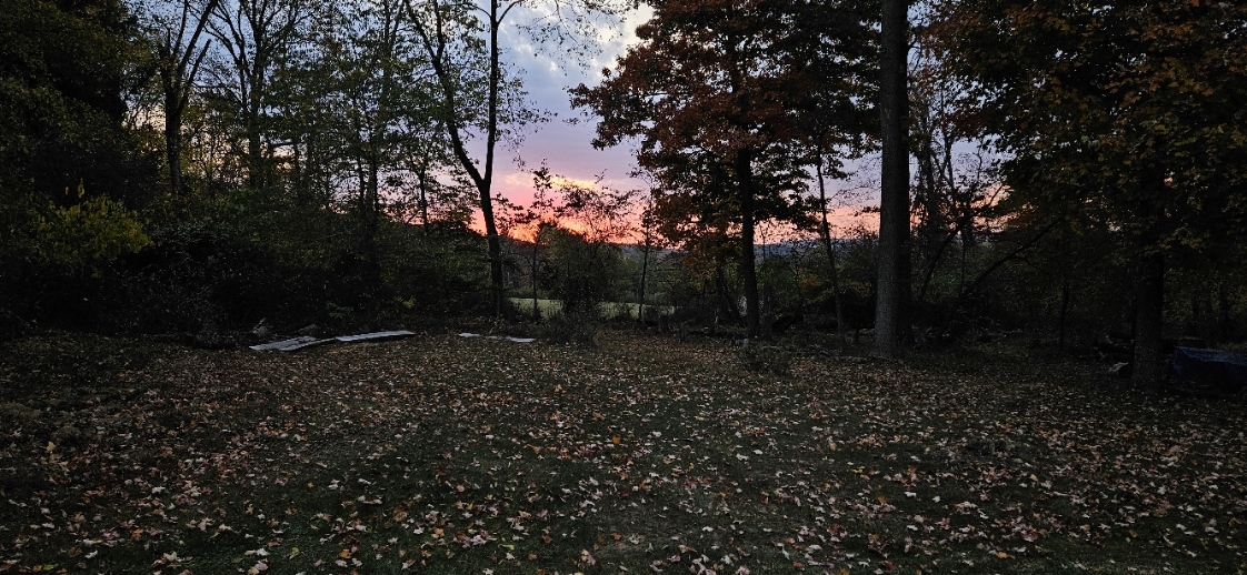 20241013_181413.jpg