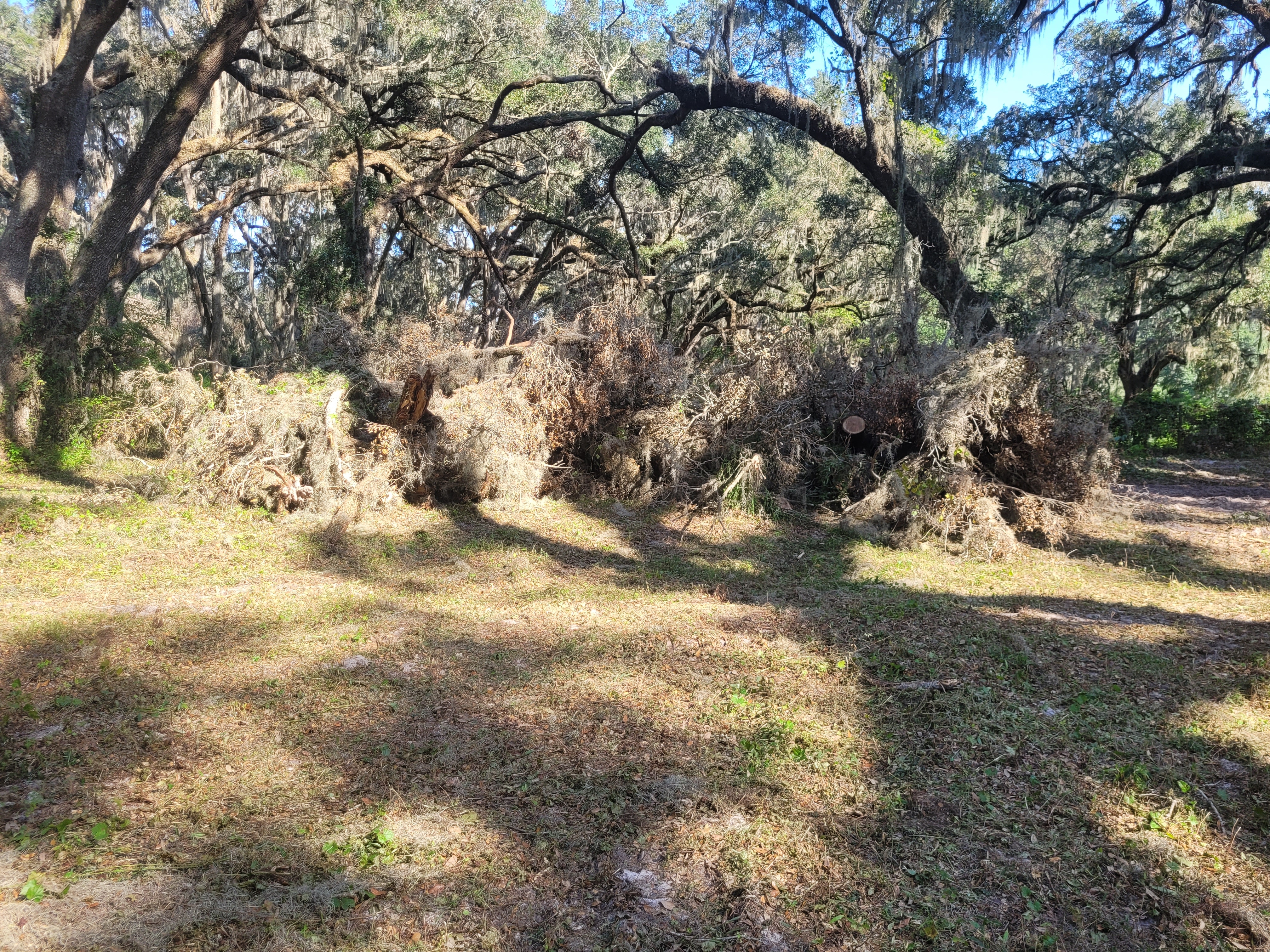 20241015_154051.jpg