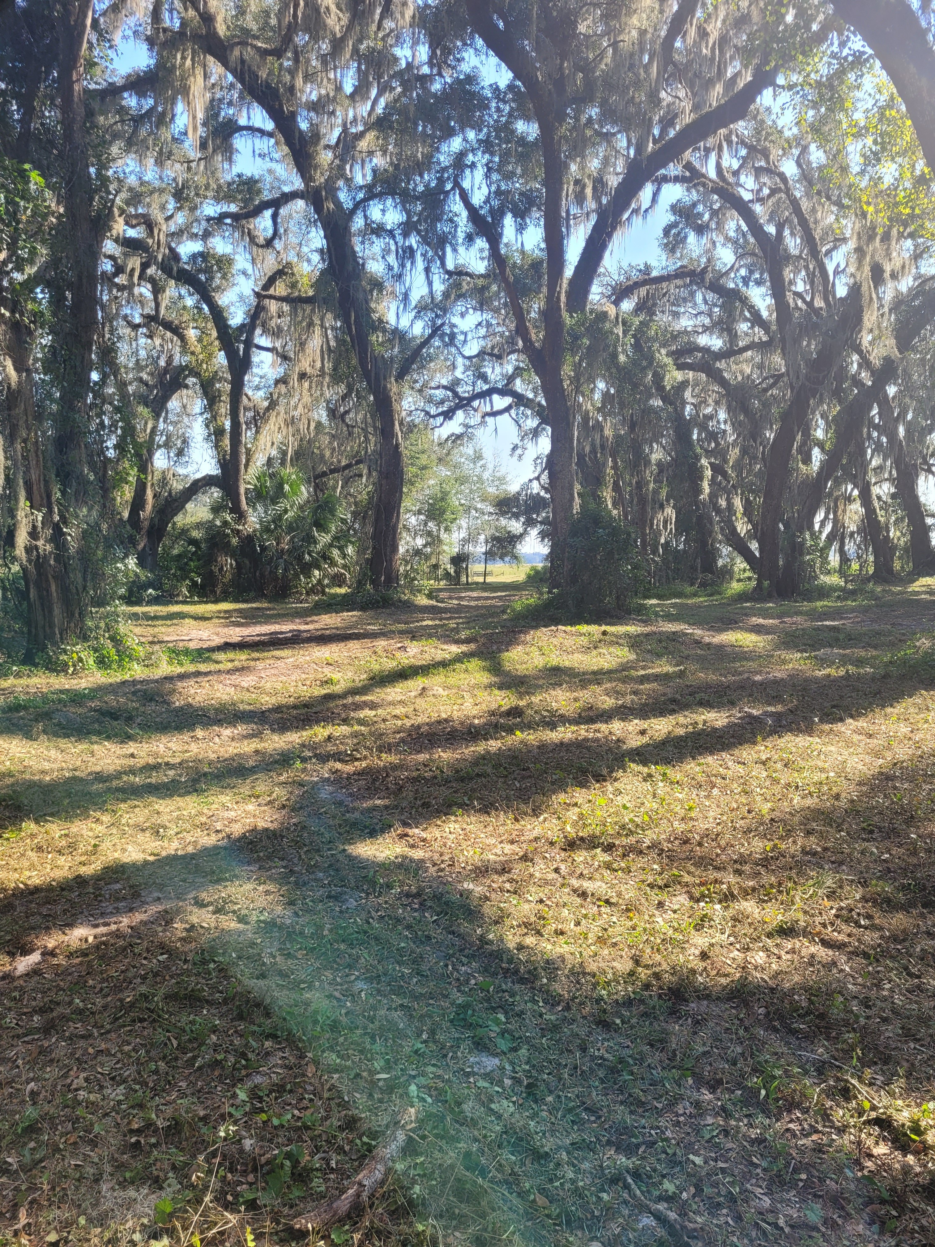 20241015_154100.jpg