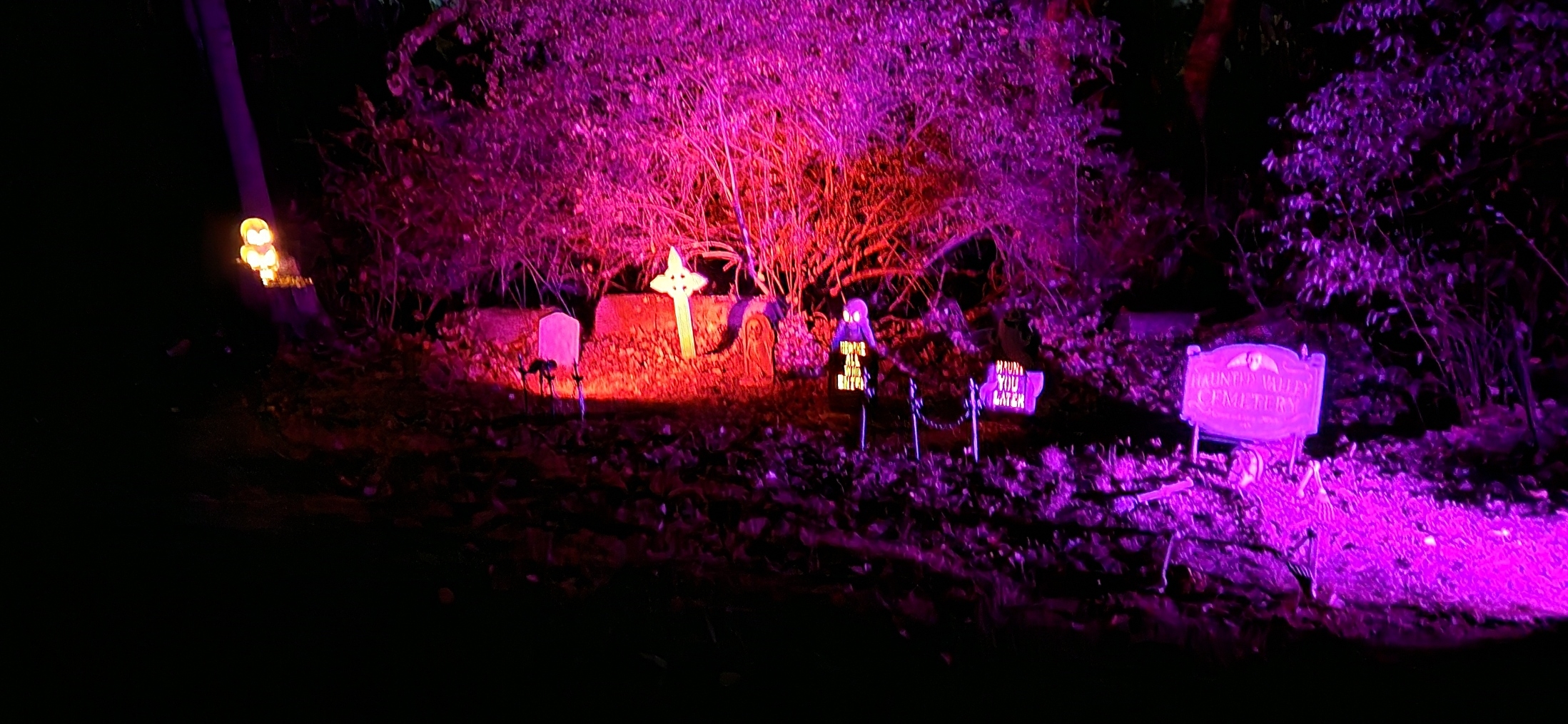20241019_211148.jpg