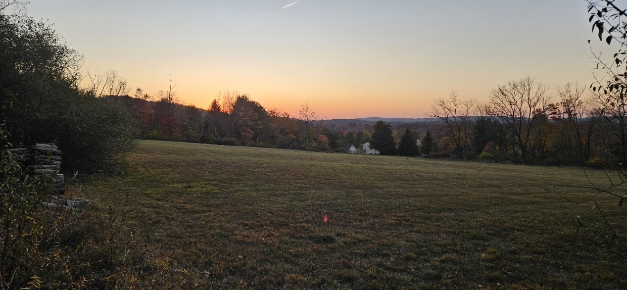 20241021_180751.jpg