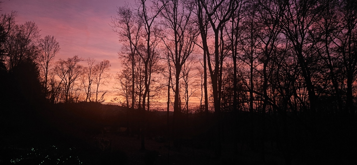 20241030_181103.jpg