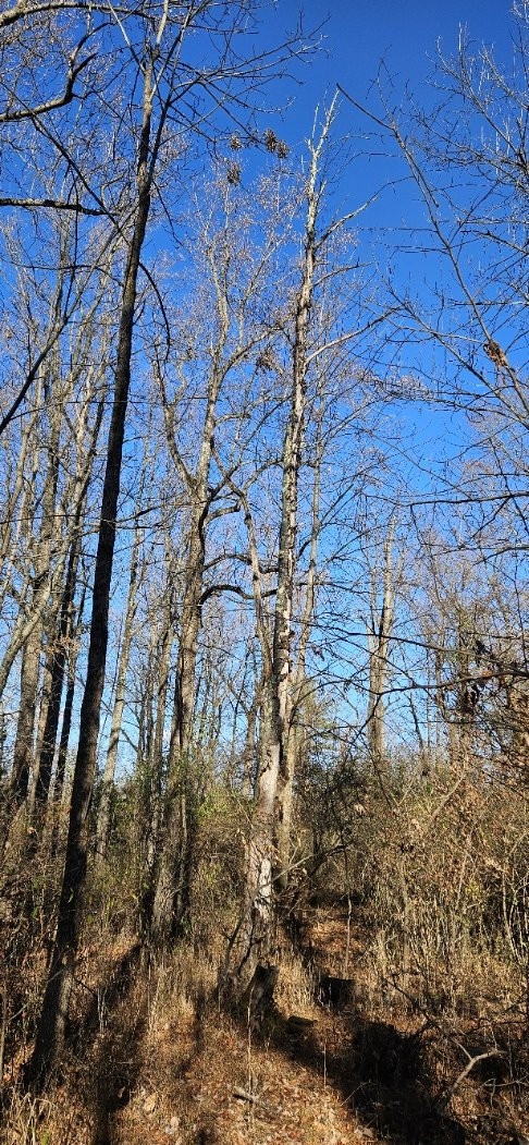 20241111_140918.jpg