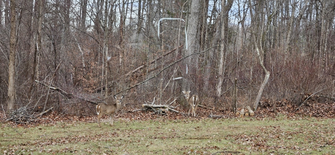 20241219_142649.jpg