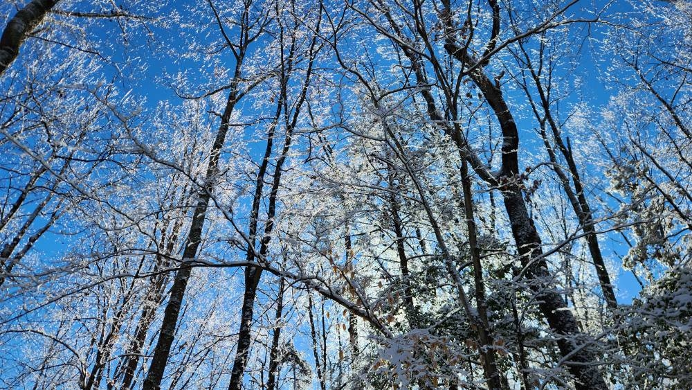 20250107_140233.jpg