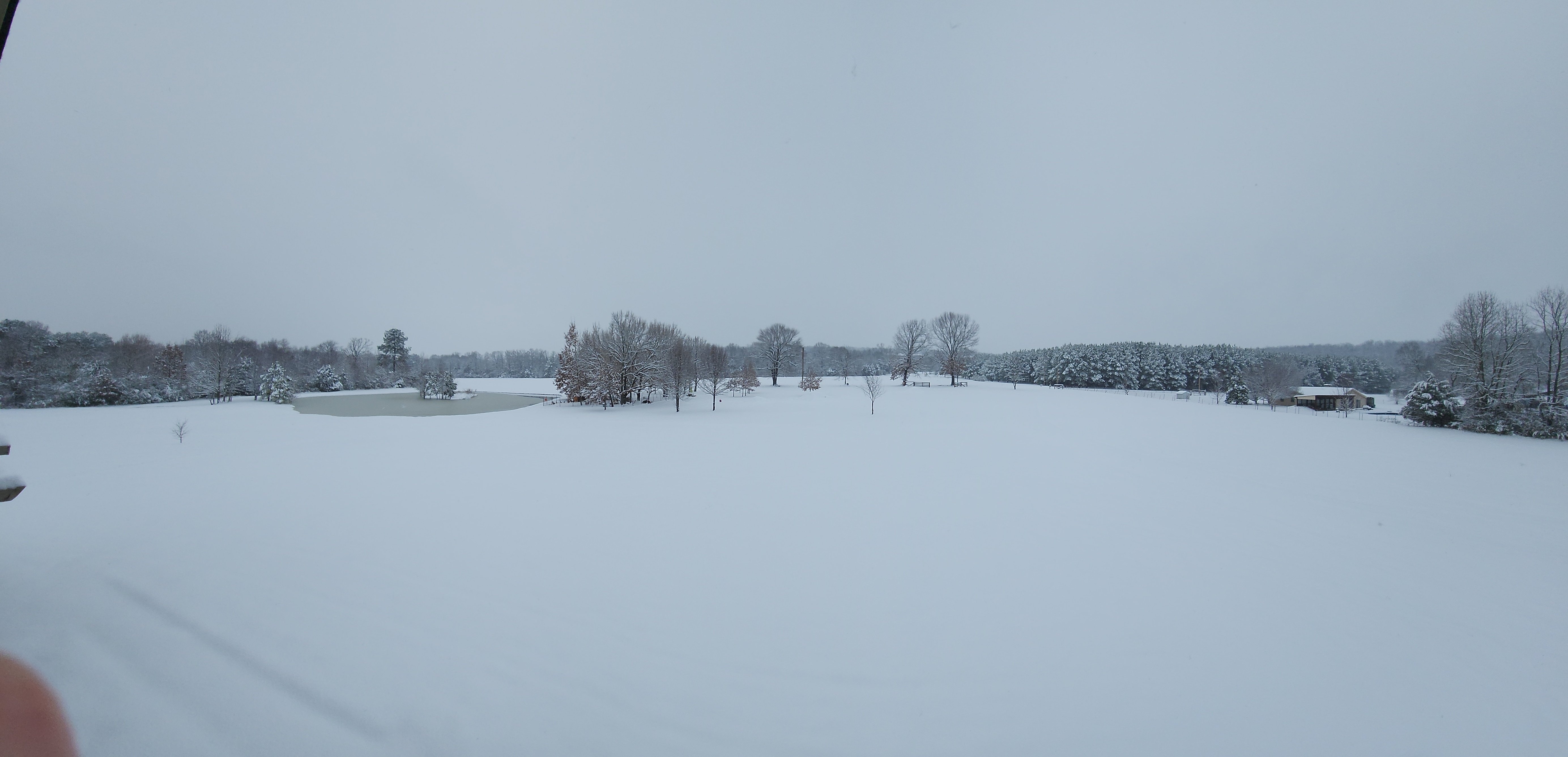 20250110_081336.jpg
