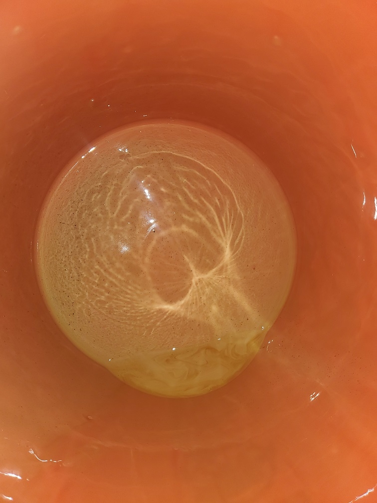 20250203_181029.jpg
