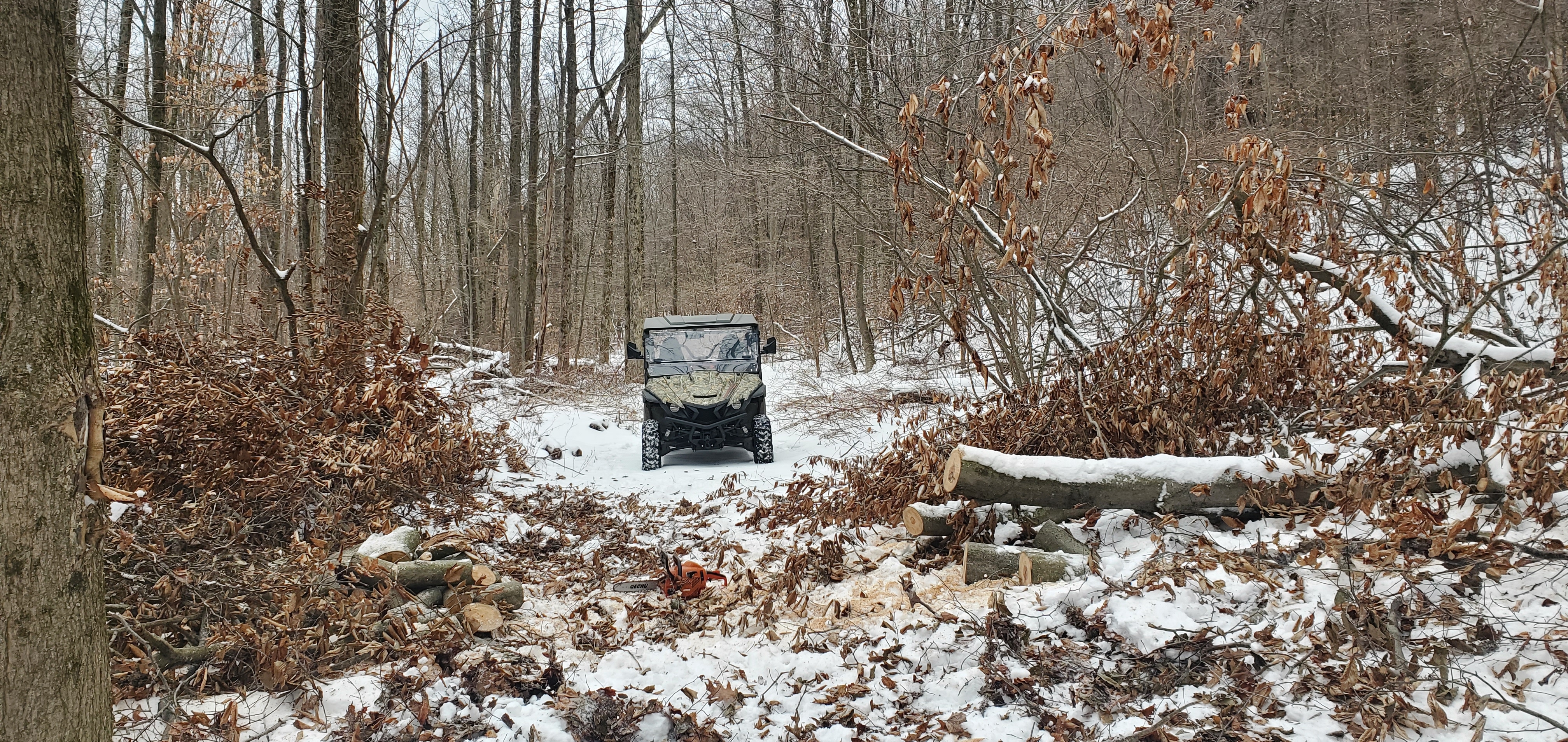 20250209_152014.jpg